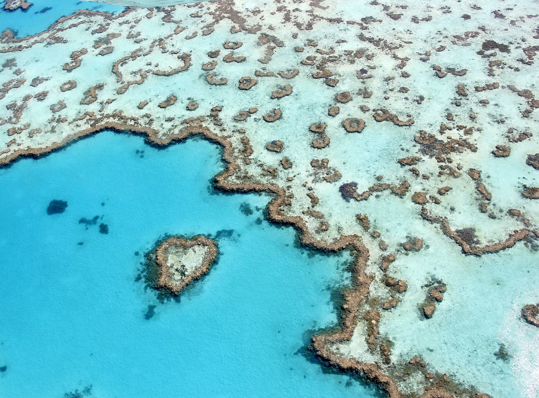 Where to Stay on the Great Barrier Reef in 2026: 12 Islands 18 Heart Reef near Airlie Beach