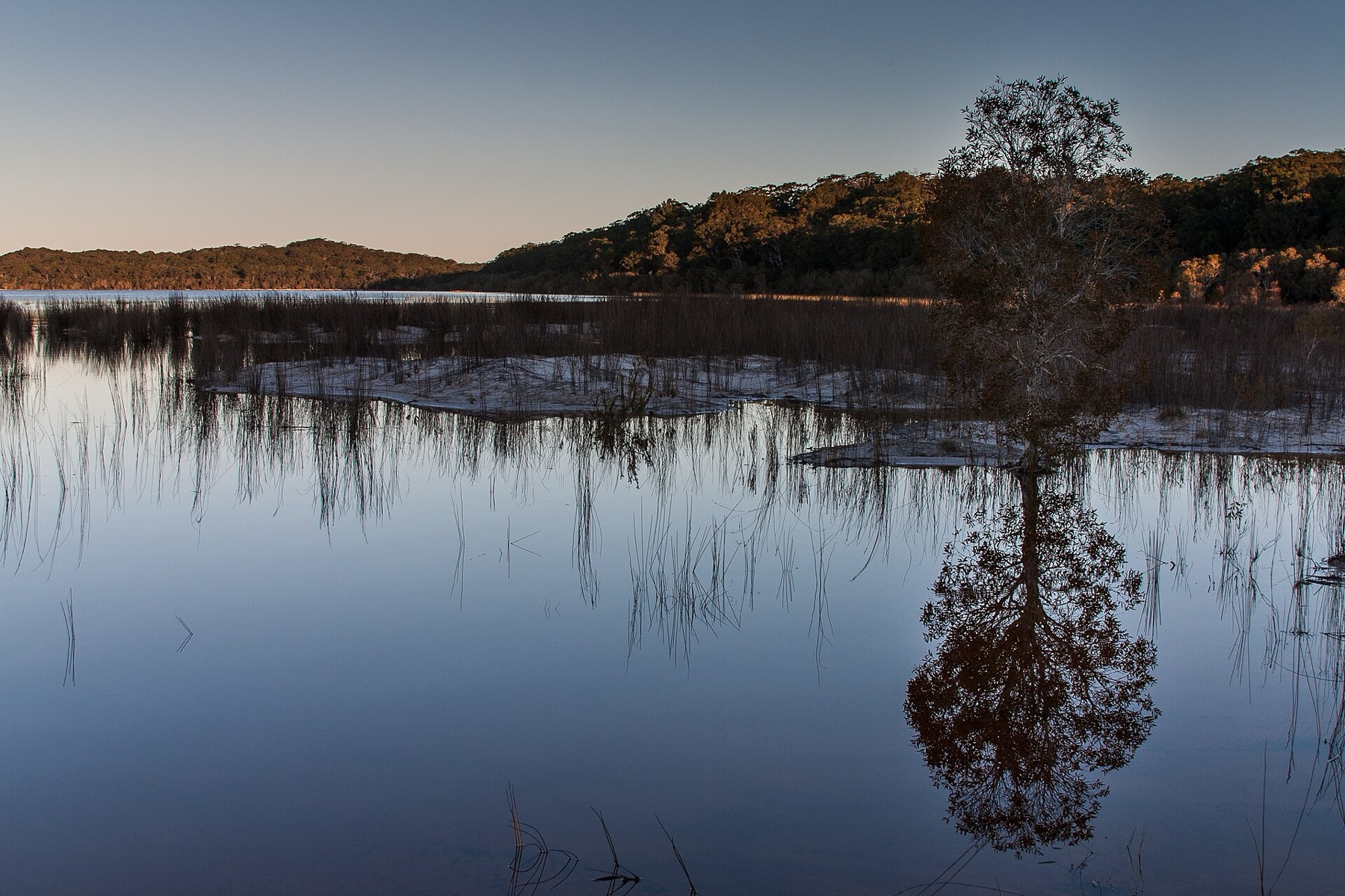 K'gari (Fraser Island): 10 tipů, co vidět a jak se tam dostat 16 Průzračná jezera na K'gari