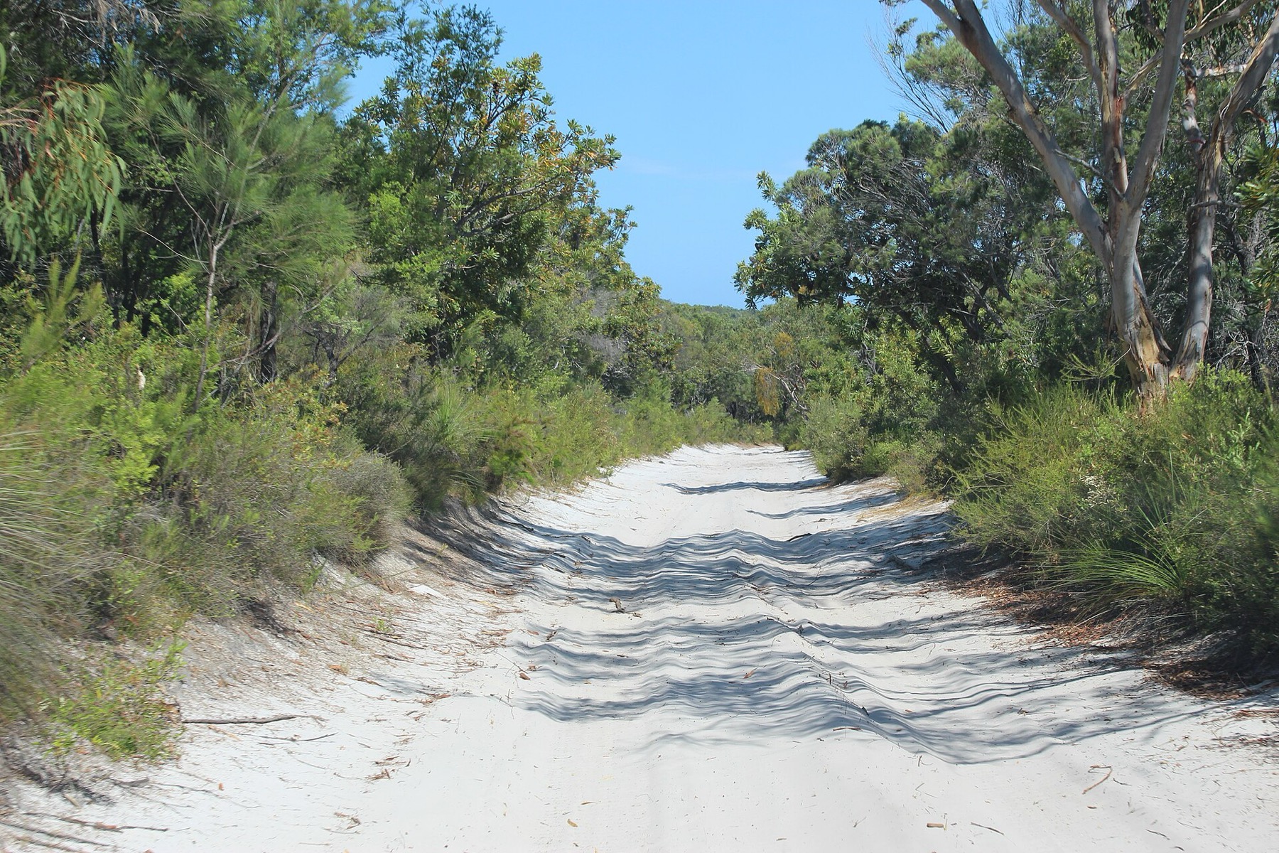 K'gari (Fraser Island): 10 tipů, co vidět a jak se tam dostat 19 Písečná cesta ostrovem