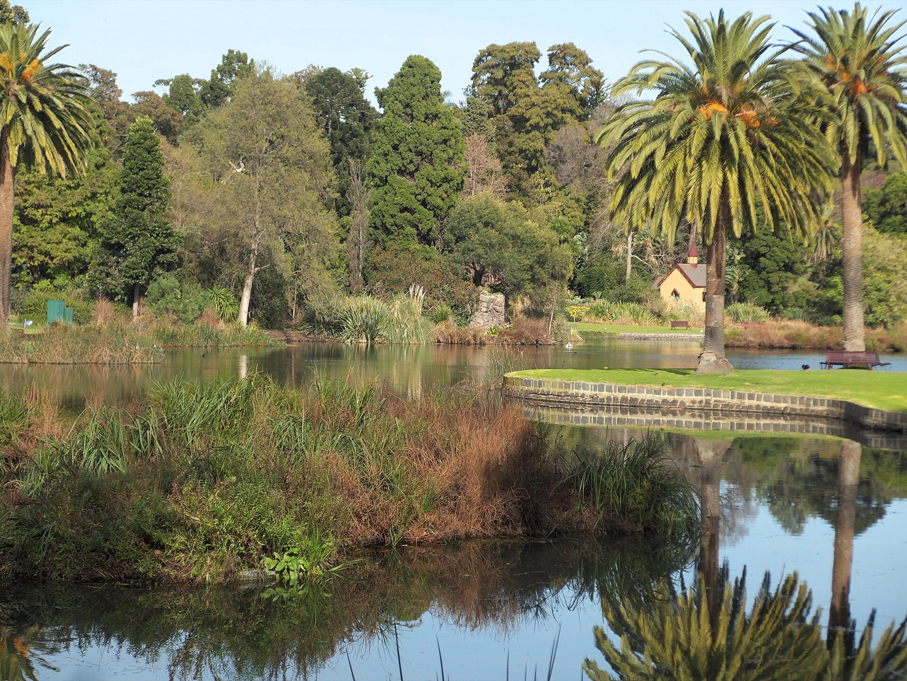 Melbourne, Austrália 2026: 23 dicas do que ver e fazer 7 Jardim Botânico Real de Melbourne