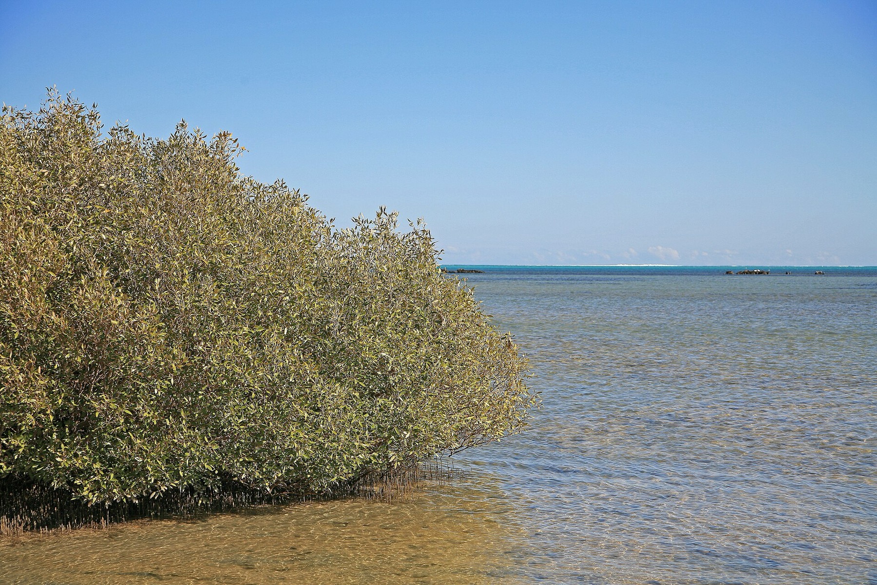 Ningaloo Reef, Austrálie: 12 míst a zážitků, které stojí za to 10 Krajina Cape Range