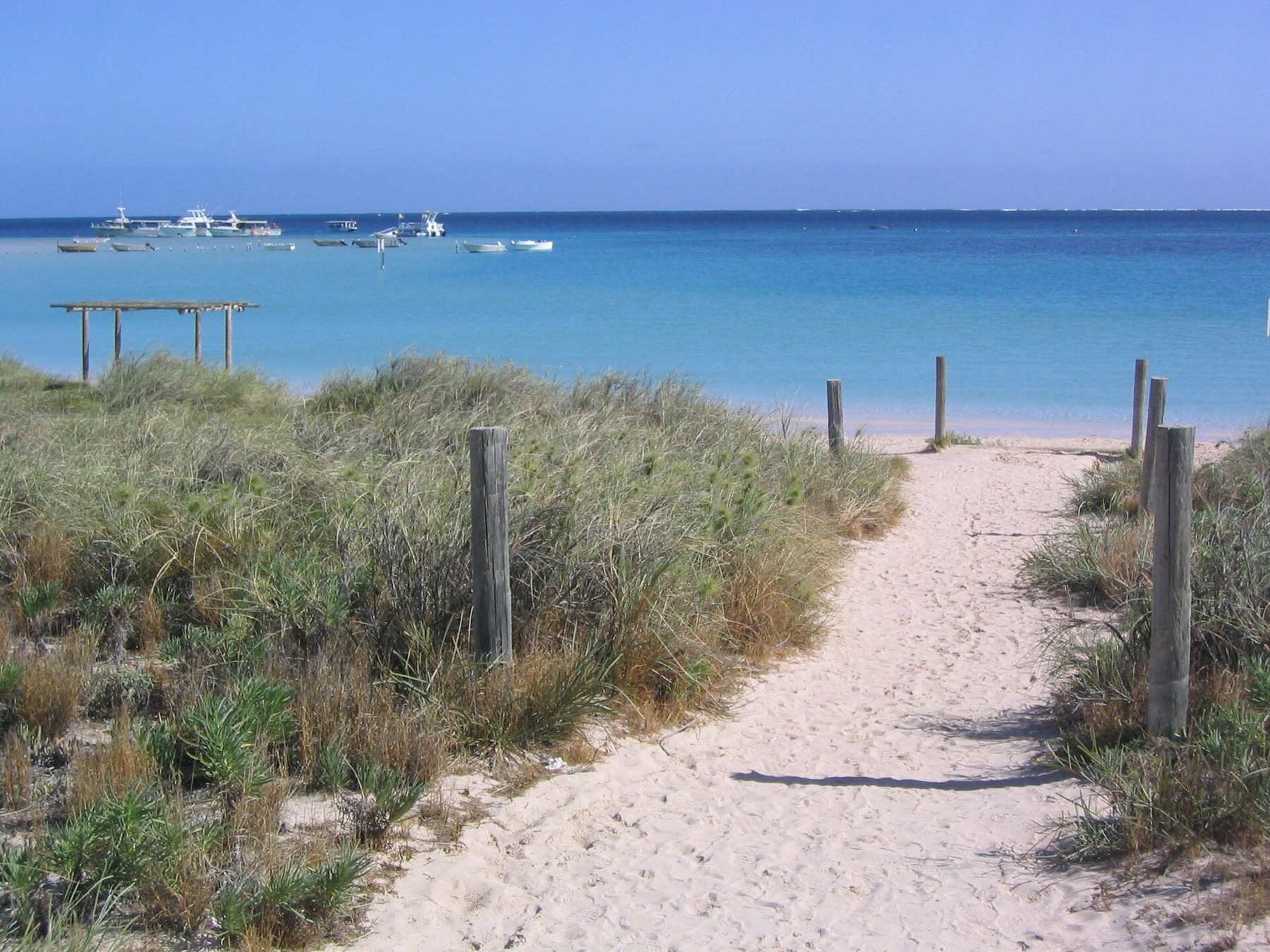 Ningaloo Reef, Austrálie: 12 míst a zážitků, které stojí za to 16 Coral Bay a Bill's Bay