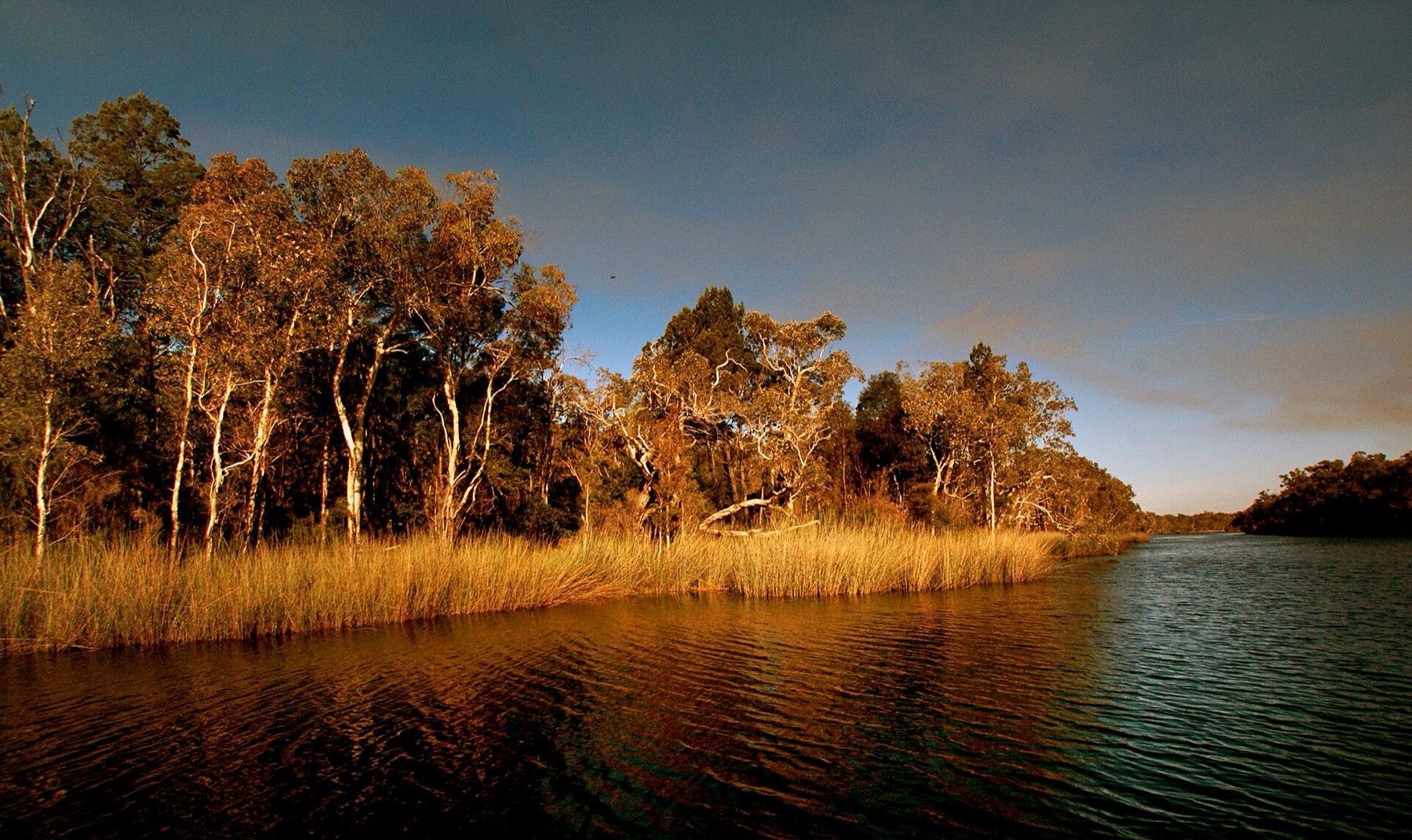 Noosa a Sunshine Coast: 14 tipů, co vidět a na co si dát pozor 7 Noosa Everglades