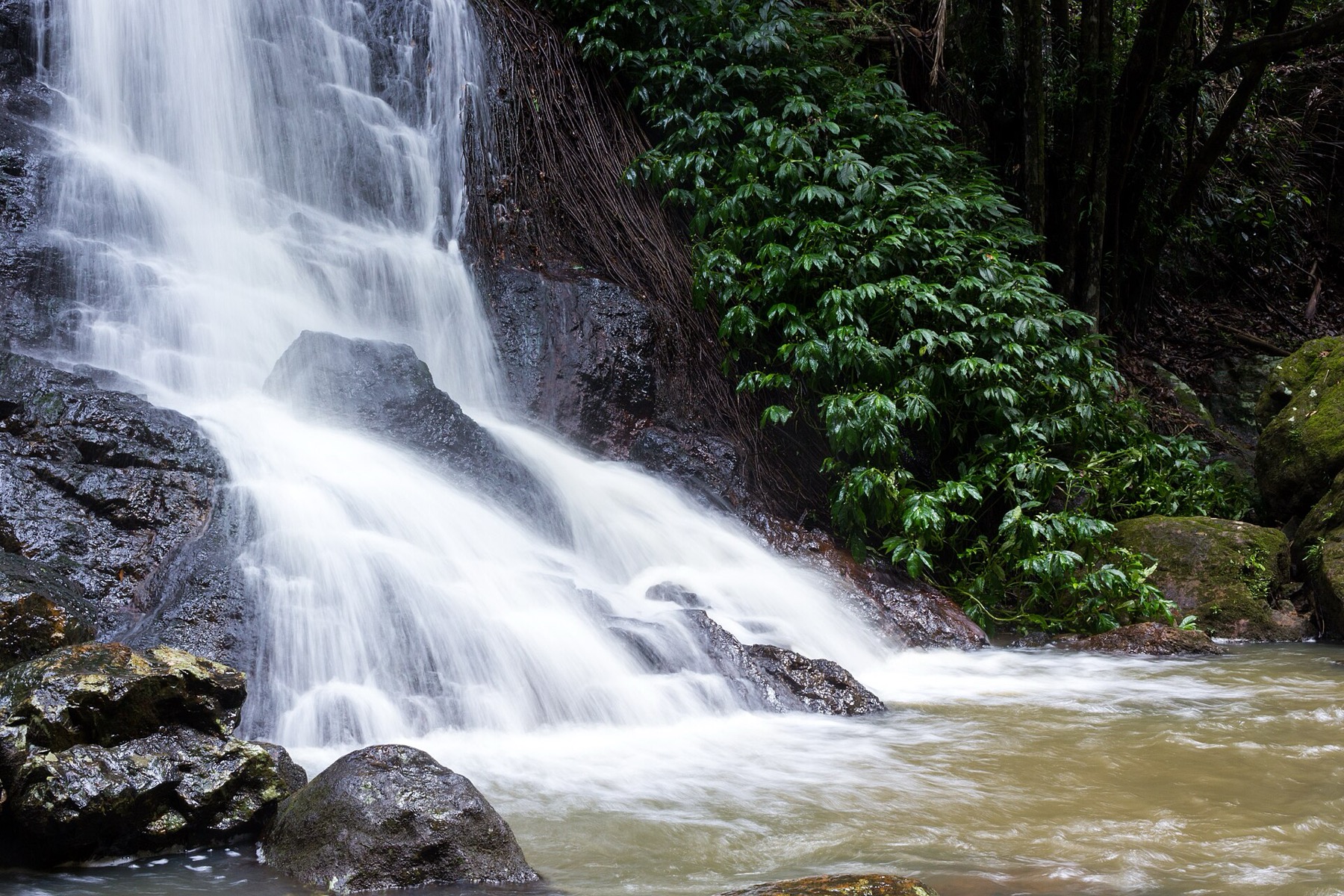 Noosa a Sunshine Coast: 14 tipů, co vidět a na co si dát pozor 11 Vodopád v Kondalilla National Park