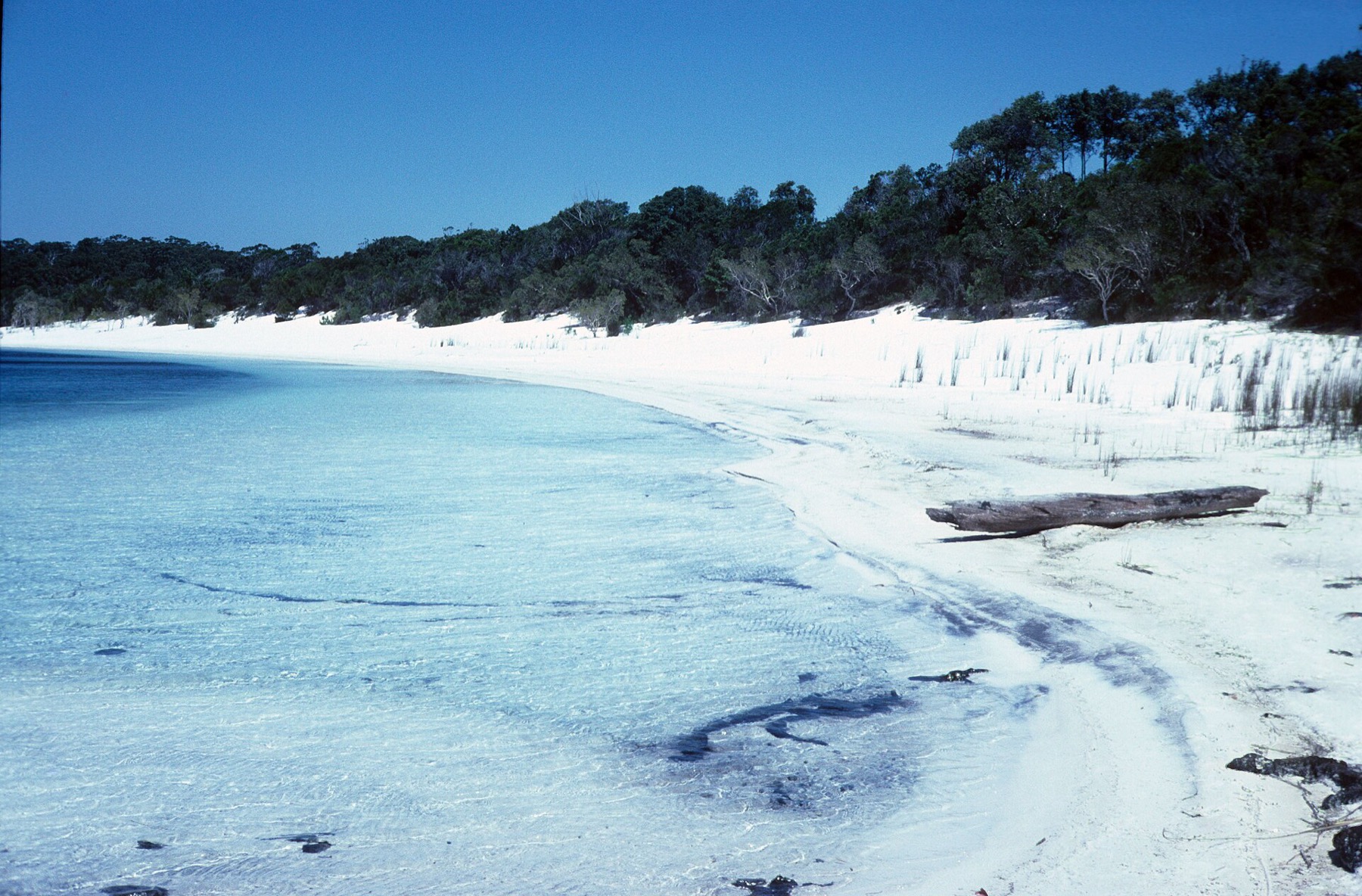 Noosa a Sunshine Coast: 14 tipů, co vidět a na co si dát pozor 15 Jezero na K'gari