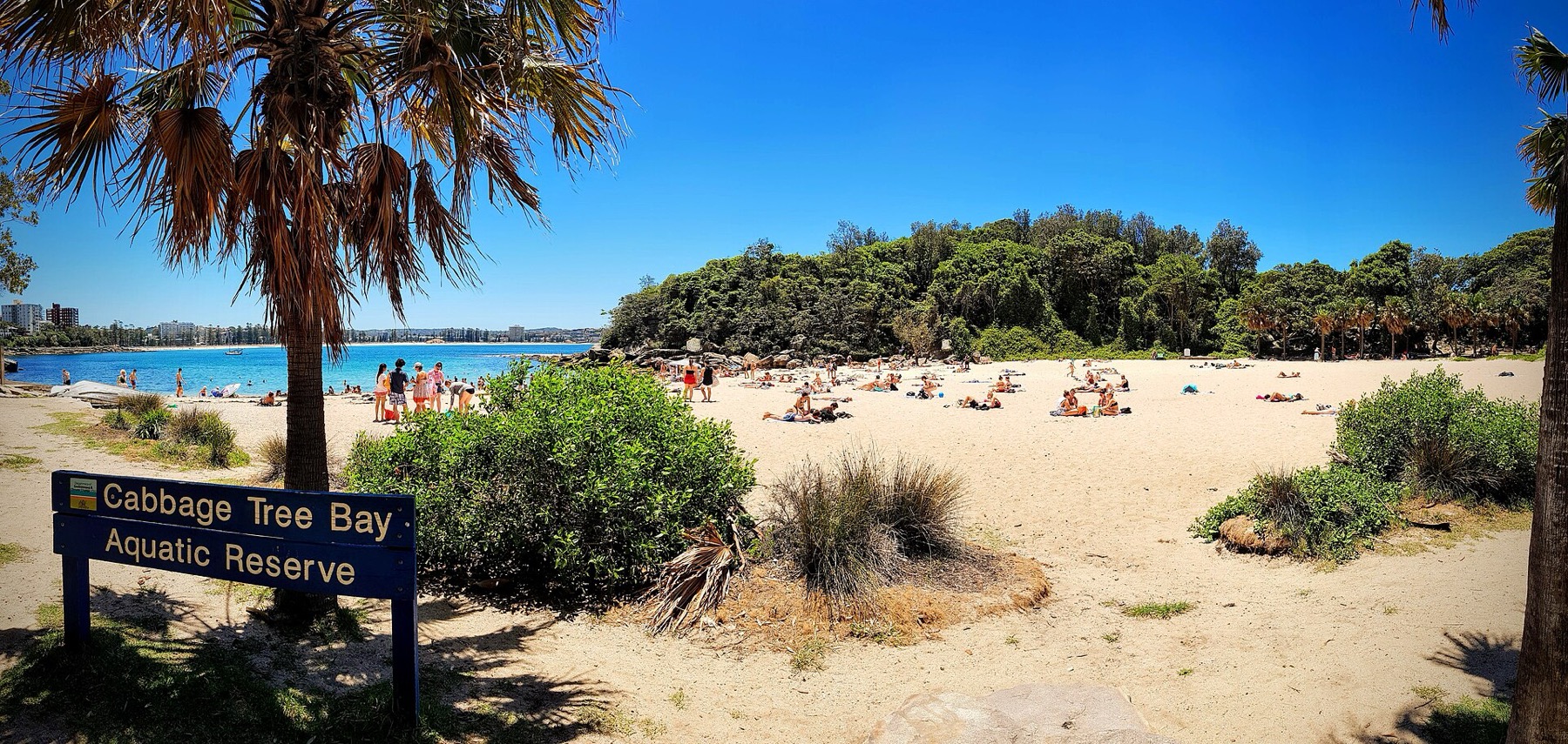Pláže v Sydney: 12 nejlepších a která je pro koho 9 Shelly Beach u Manly