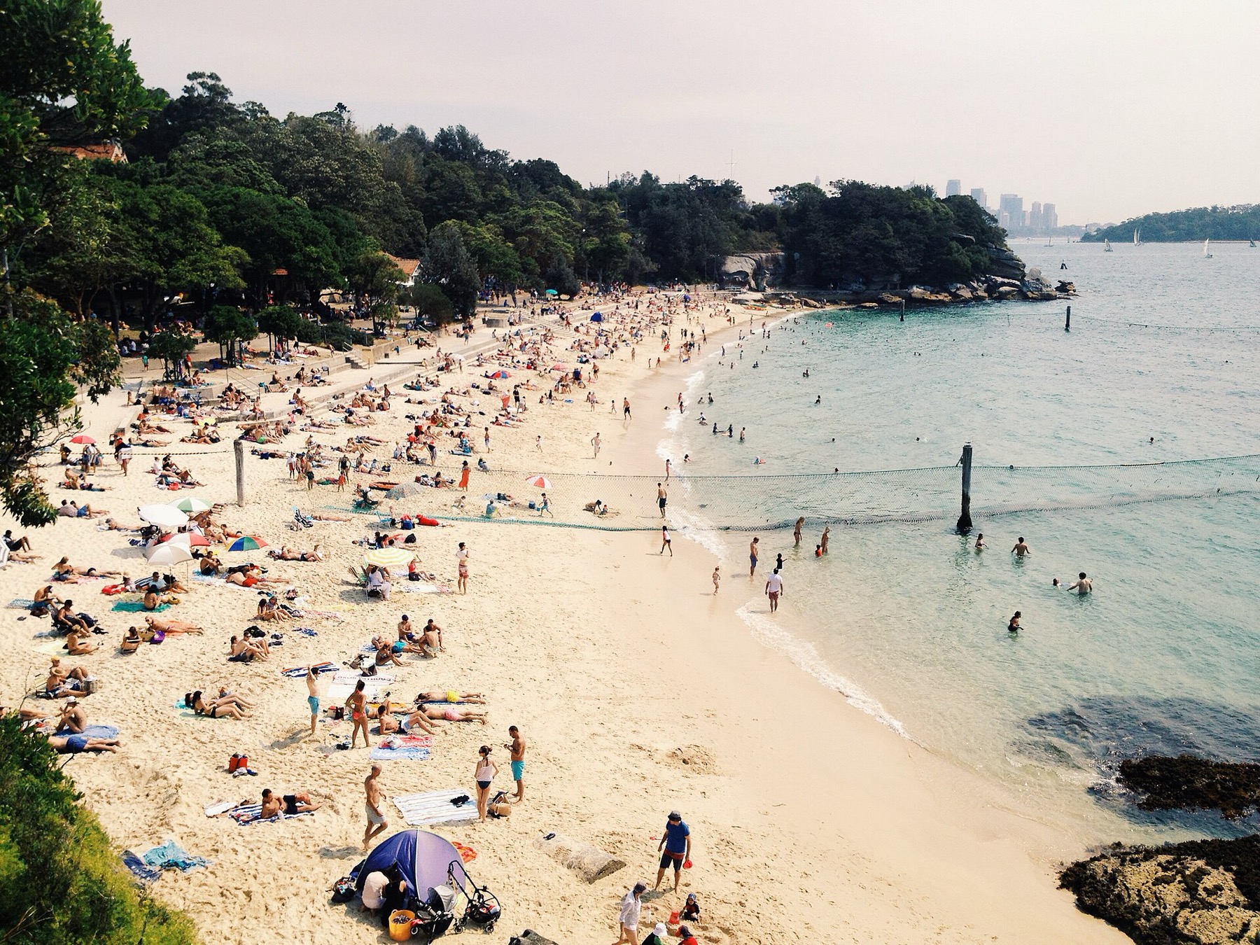 Pláže v Sydney: 12 nejlepších a která je pro koho 13 Shark Beach