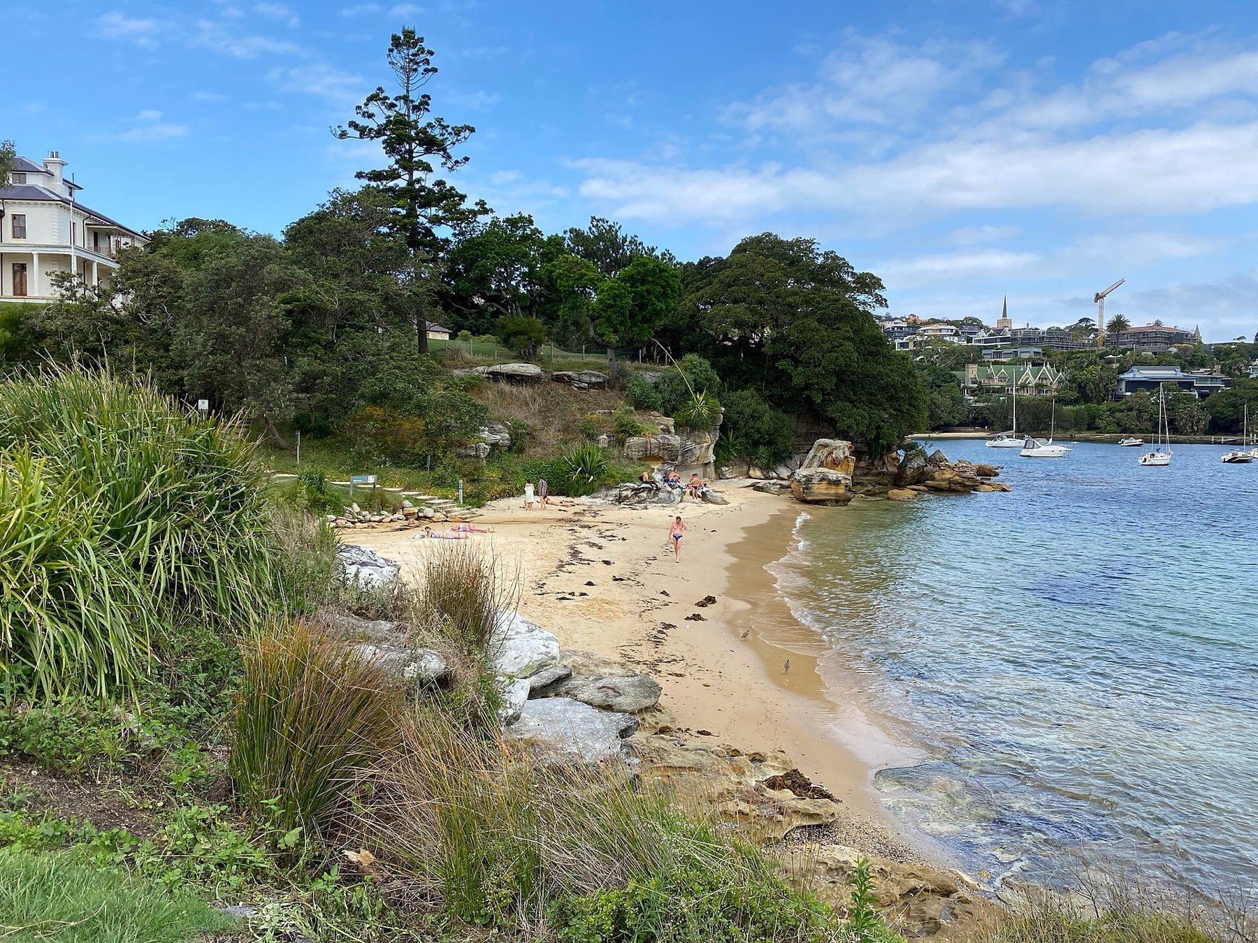 Pláže v Sydney: 12 nejlepších a která je pro koho 14 Milk Beach