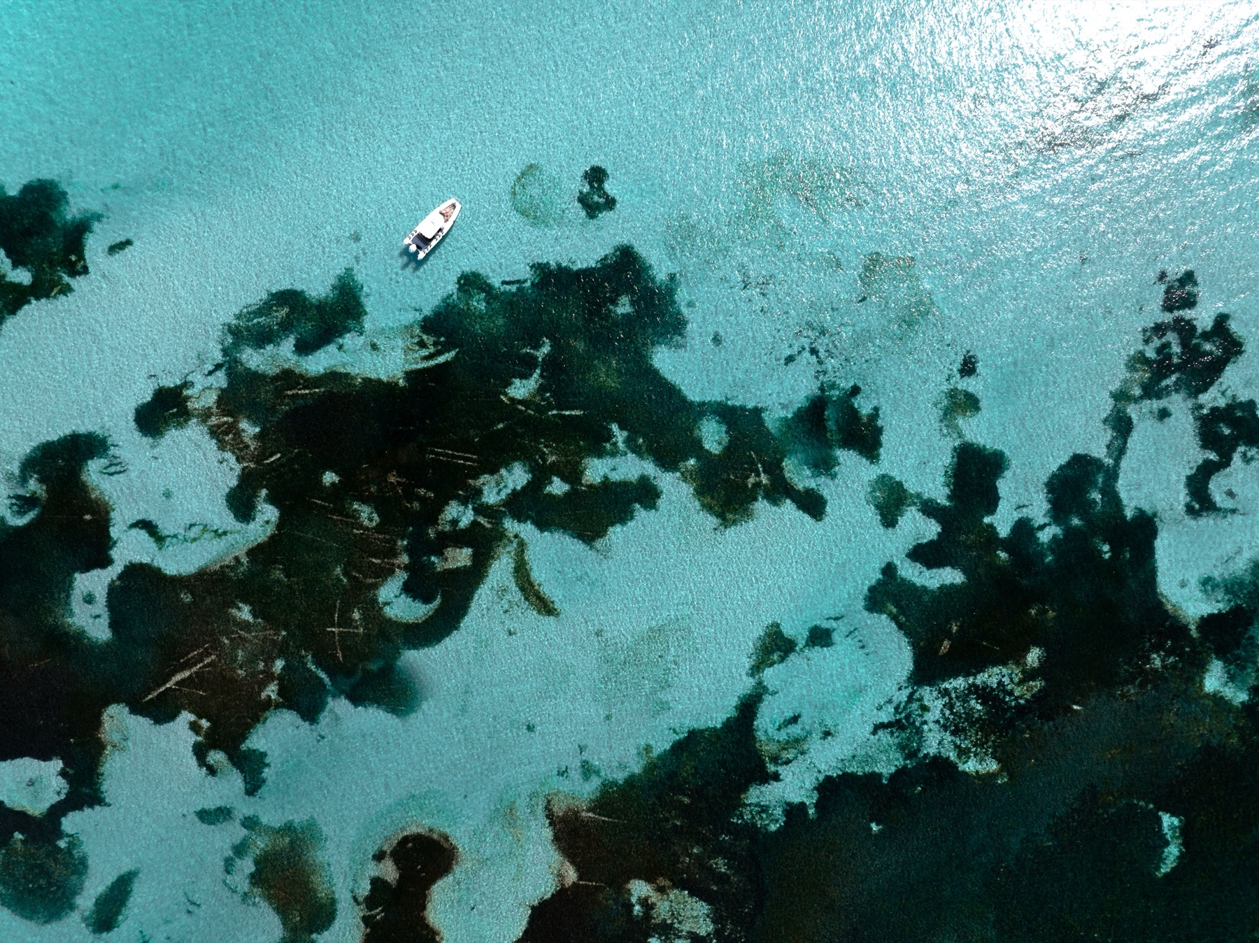 Rottnest Island, Austrálie: 12 tipů, co vidět – quokky a pláže 1 Pobřeží Rottnest Islandu