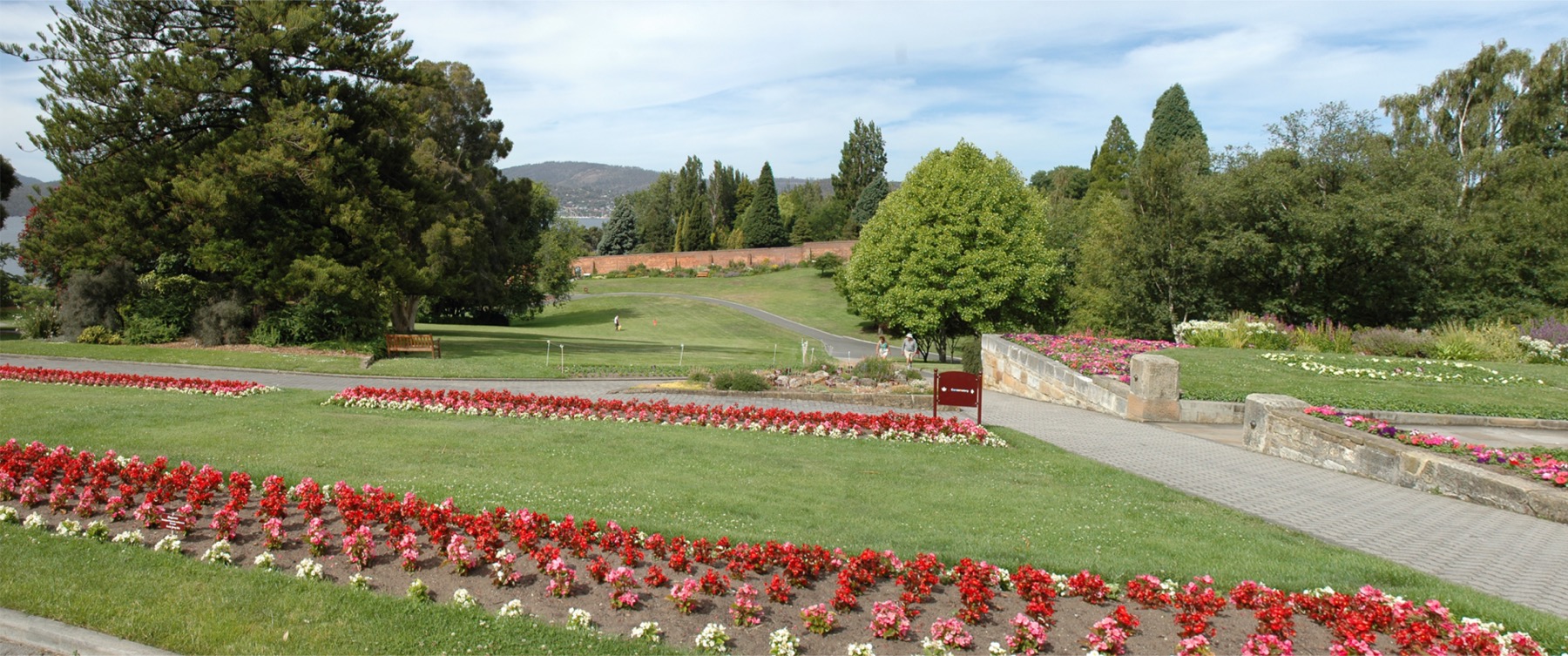 Tasmanie (Australie) : 20 lieux à voir + itinéraire pour 2026 6 Jardin botanique royal de Hobart