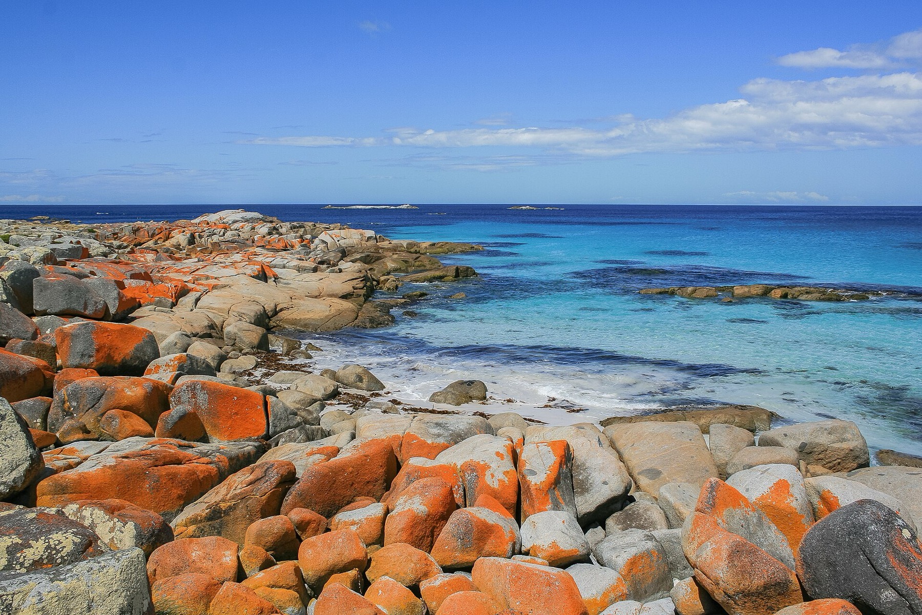 Tasmanie (Australie) : 20 lieux à voir + itinéraire pour 2026 15 Rochers orange couverts de lichen à Bay of Fires
