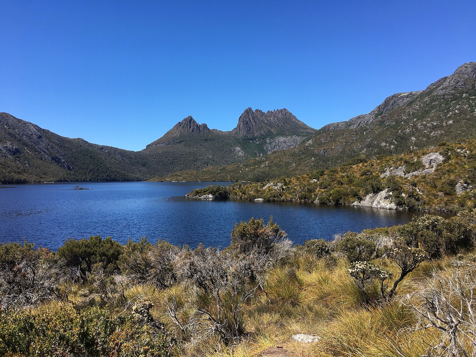 Tasmanie (Australie) : 20 lieux à voir + itinéraire pour 2026 19 Hangar à bateaux au bord du lac Dove, sous Cradle Mountain