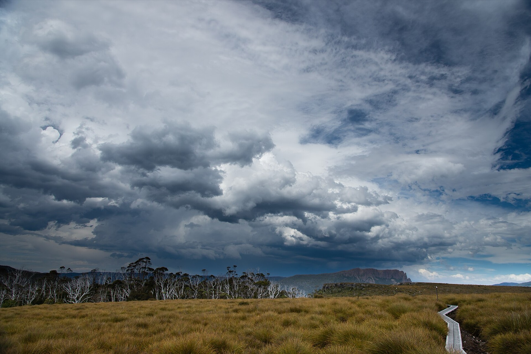 Tasmanie (Australie) : 20 lieux à voir + itinéraire pour 2026 20 Le sentier balisé Overland Track à travers la nature sauvage tasmanienne