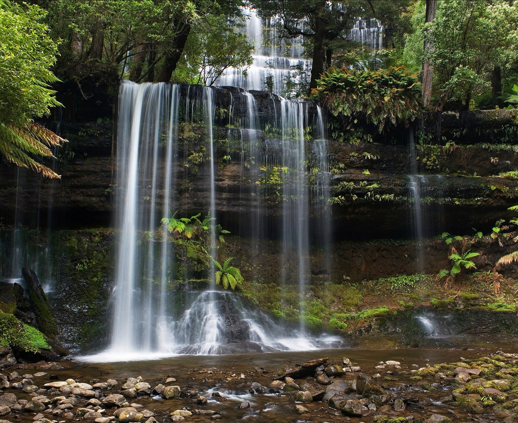 Tasmanie (Australie) : 20 lieux à voir + itinéraire pour 2026 22 Les cascades de Russell Falls dans le parc de Mount Field