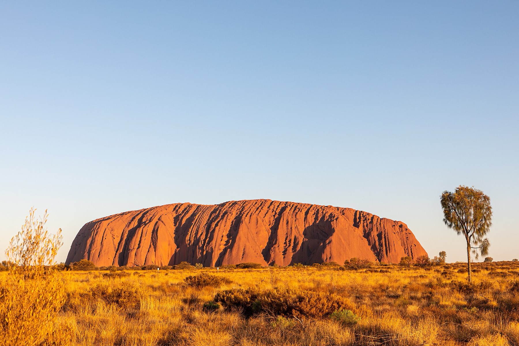Uluru a Red Centre: 14 tipů na návštěvu rudého srdce v Austrálie 1 Uluru zbarvené zlatým světlem nízkého slunce