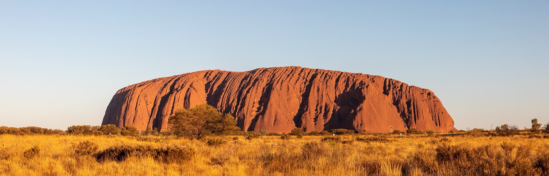 Uluru a Red Centre: 14 tipů na návštěvu rudého srdce v Austrálie 2 Panorama Uluru za východu slunce z vyhlídky Talinguru Nyakunytjaku
