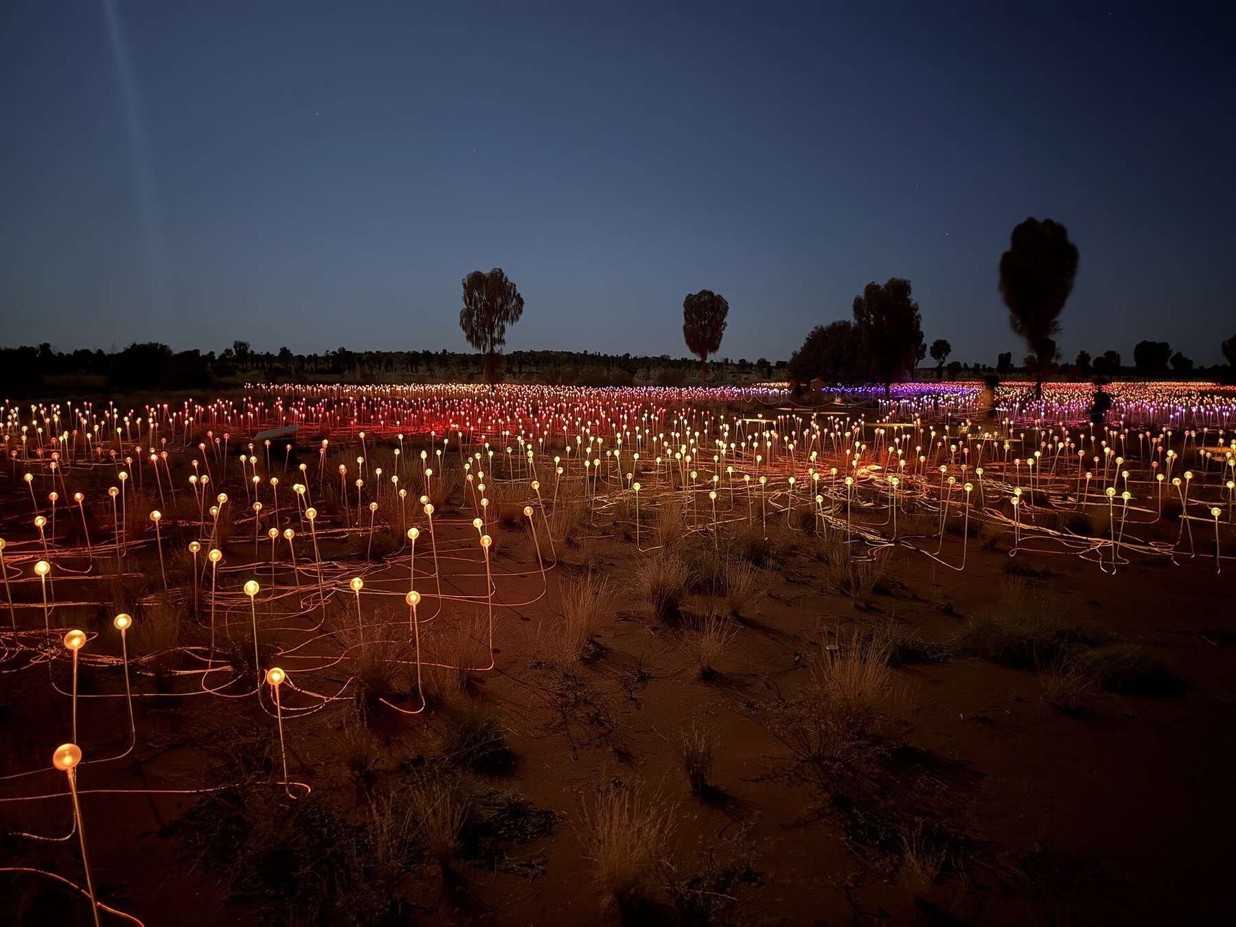 Uluru a Red Centre: 14 tipů na návštěvu rudého srdce v Austrálie 9 Světelná instalace Field of Light pod Uluru