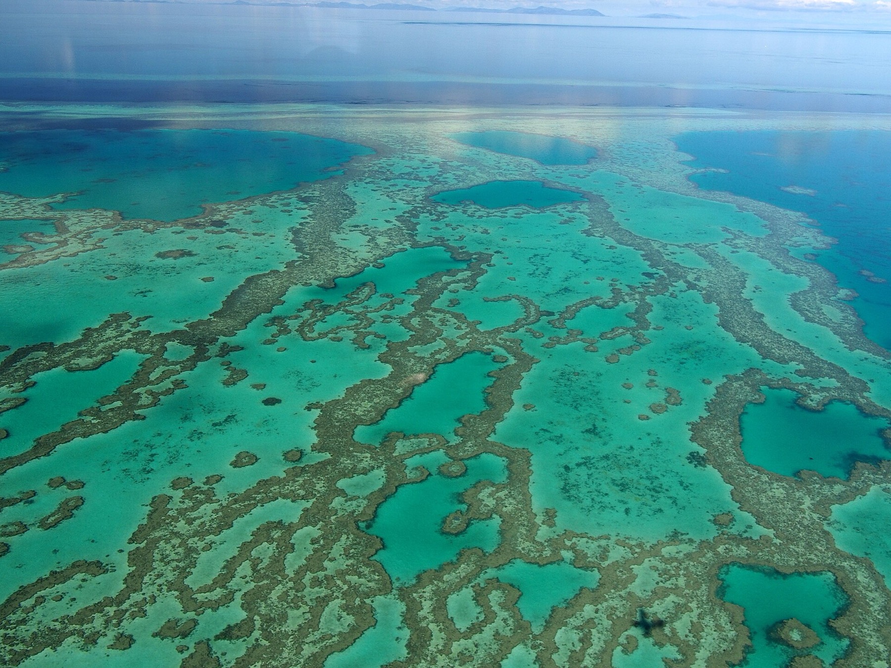 Marele Recif de Corali: excursii, prețuri și ce să știi în 2026 13 Hardy Reef, casa pontonului Reefworld cu camere subacvatice