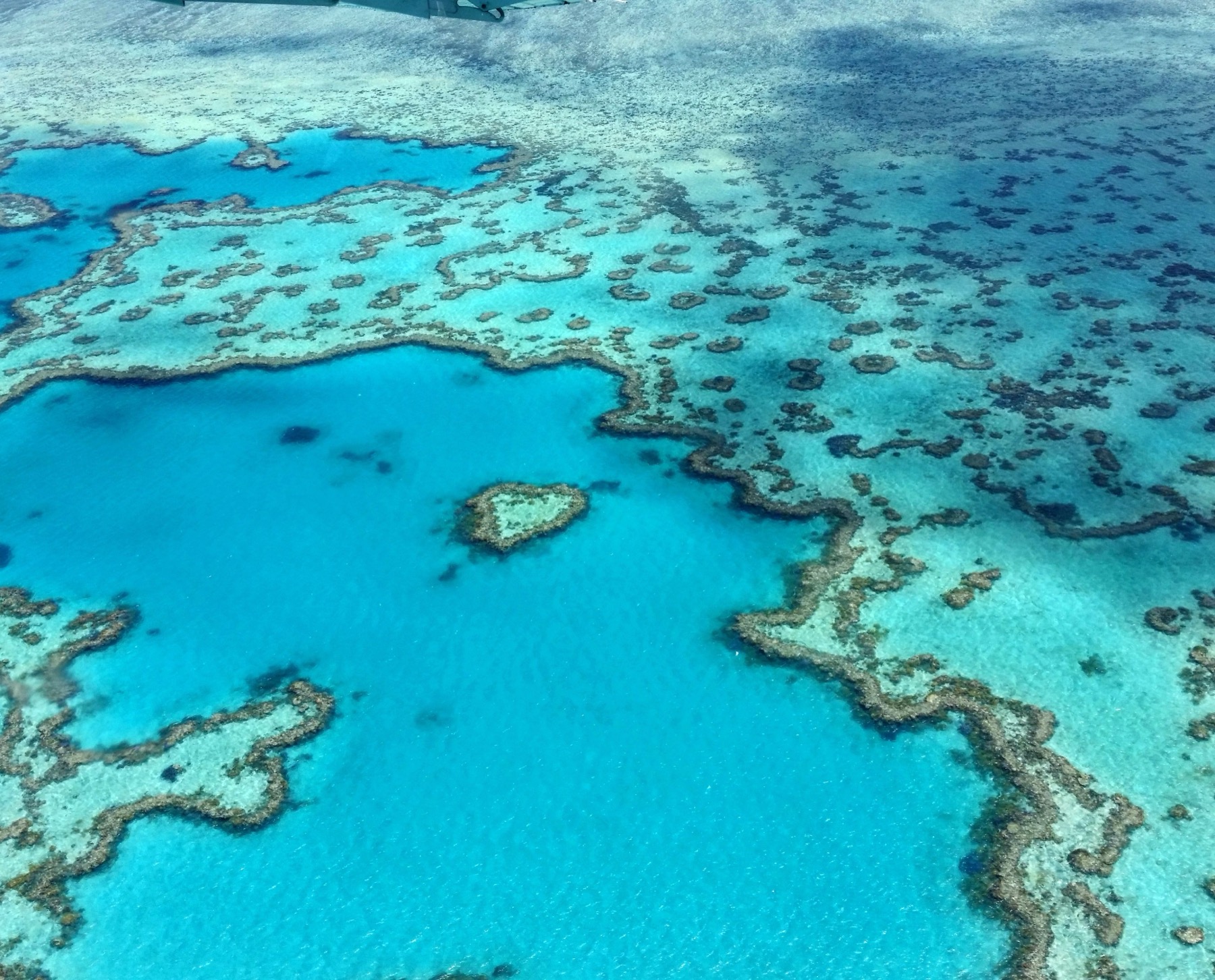 Whitsundays Australia nel 2026: 14 cose da sapere 9 Formazioni coralline della Grande Barriera Corallina dall'alto