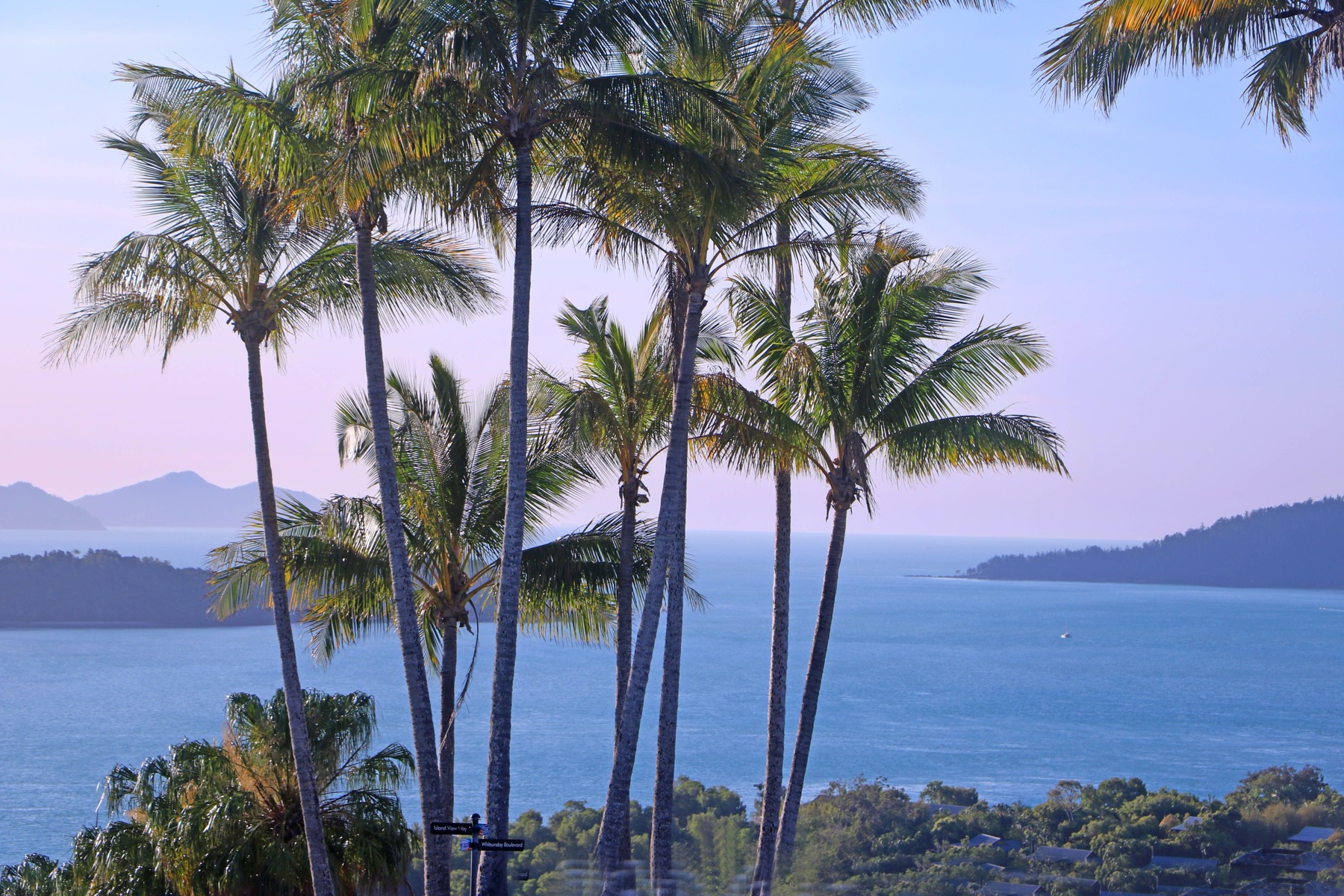Whitsundays Australia nel 2026: 14 cose da sapere 14 Palme sopra il mare turchese delle Whitsundays