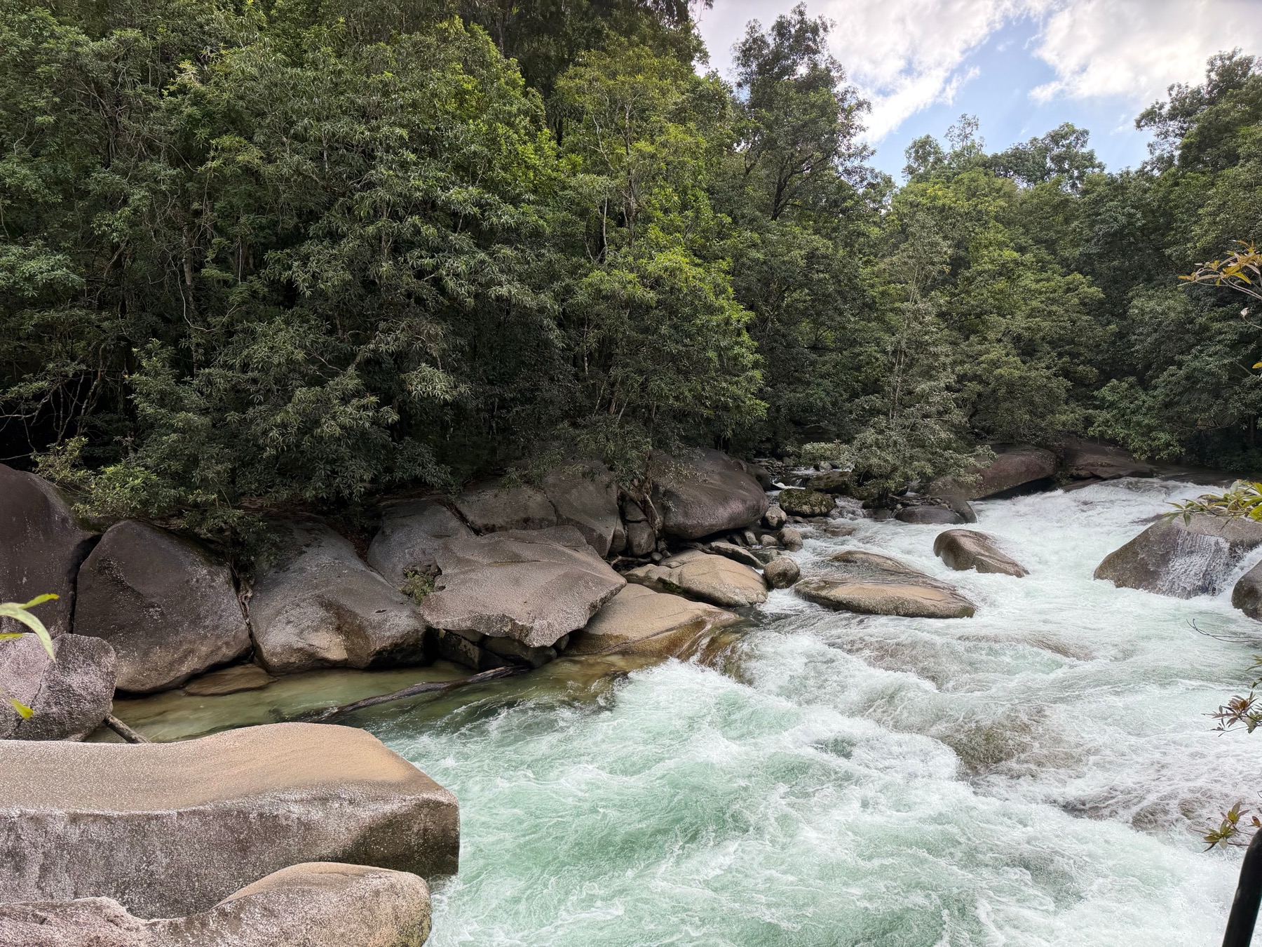 Whitsundays Australia nel 2026: 14 cose da sapere 18 Torrente nella foresta pluviale vicino ad Airlie Beach