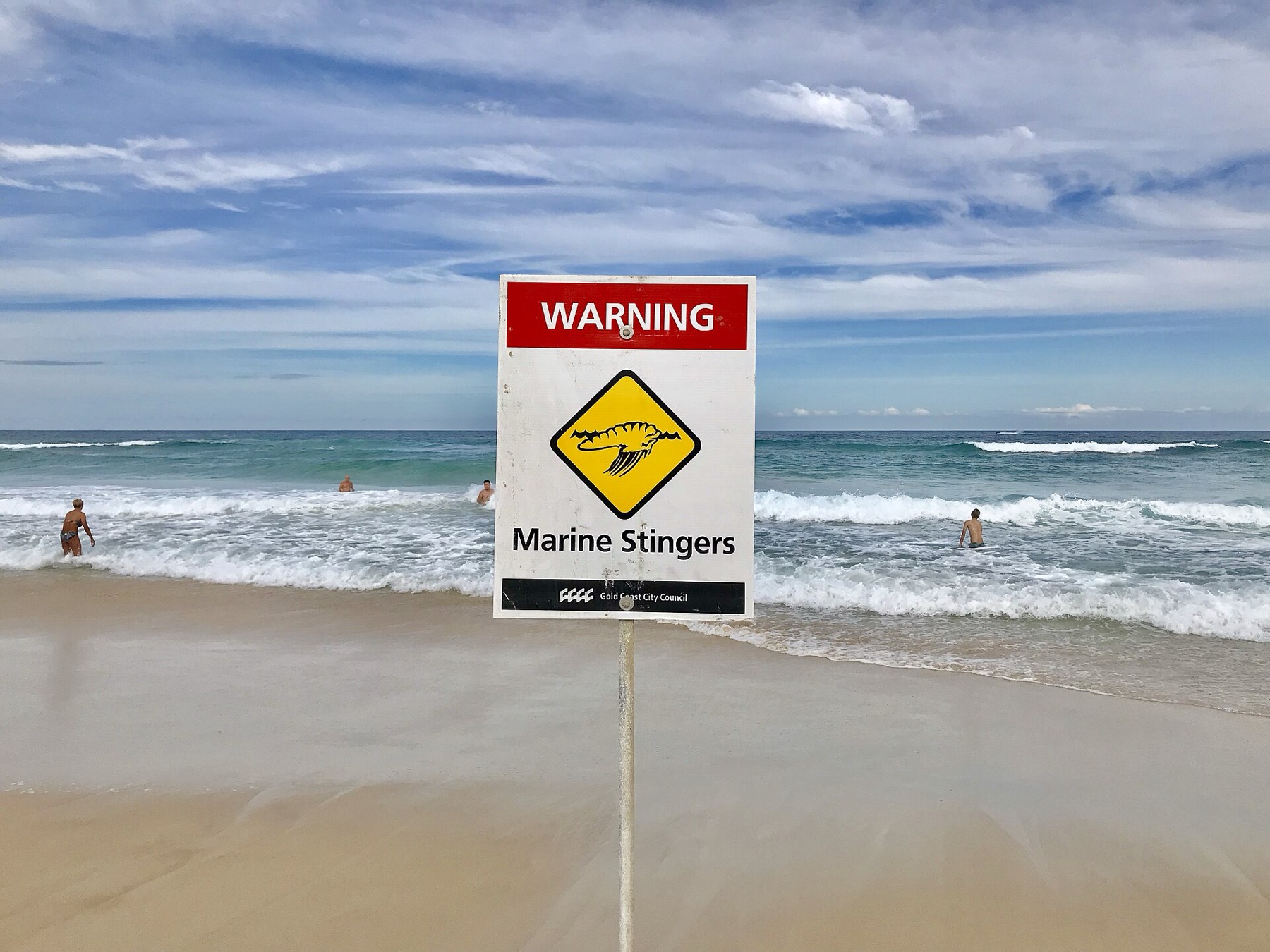 Animales en Australia: dónde ver canguros y koalas en 2026 17 Señal de advertencia en una playa australiana
