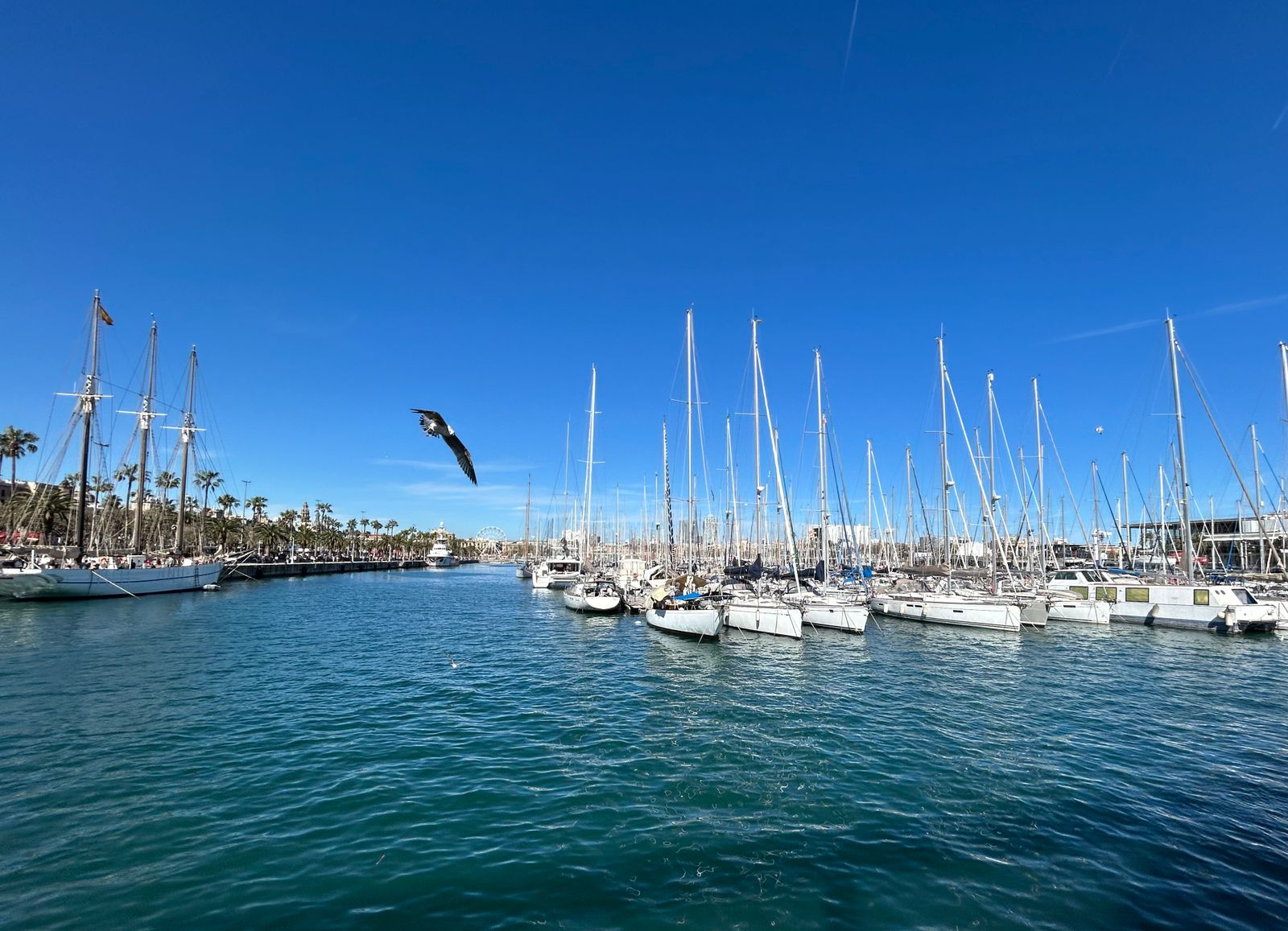 Barcelona za 3 dny: itinerář (+ varianty na 1, 2 a 5 dní) 3 Jachty v barcelonském přístavu