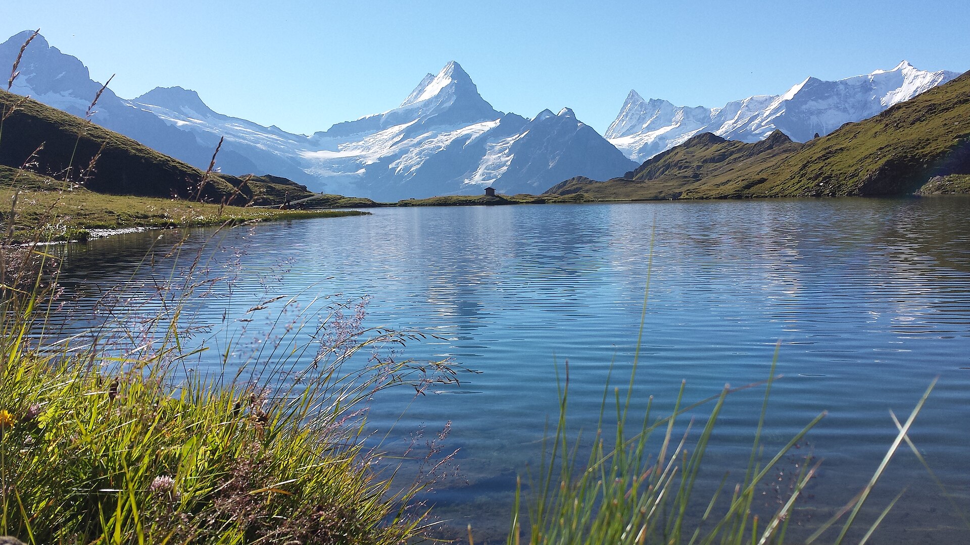 Bönigen, Switzerland: 24 Things to Do at Lake Brienz 2026 19 Mountain lake Bachalpsee above Grindelwald reflecting glacial peaks