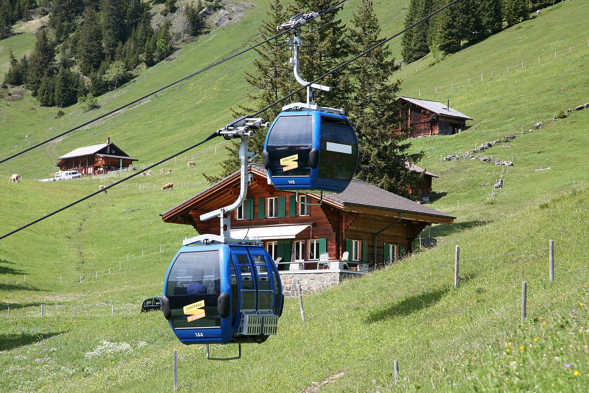 Bönigen, Switzerland: 24 Things to Do at Lake Brienz 2026 18 Gondola cable car from Grindelwald to First above alpine meadows