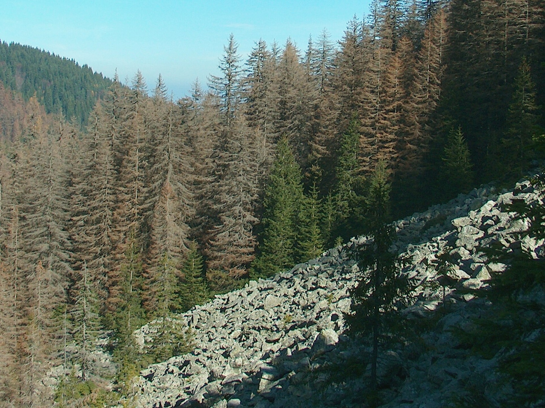 Holiday in Bulgaria 2026: 30 Most Beautiful Places + Practical Tips 19 Stone river on Mount Vitosha above Sofia