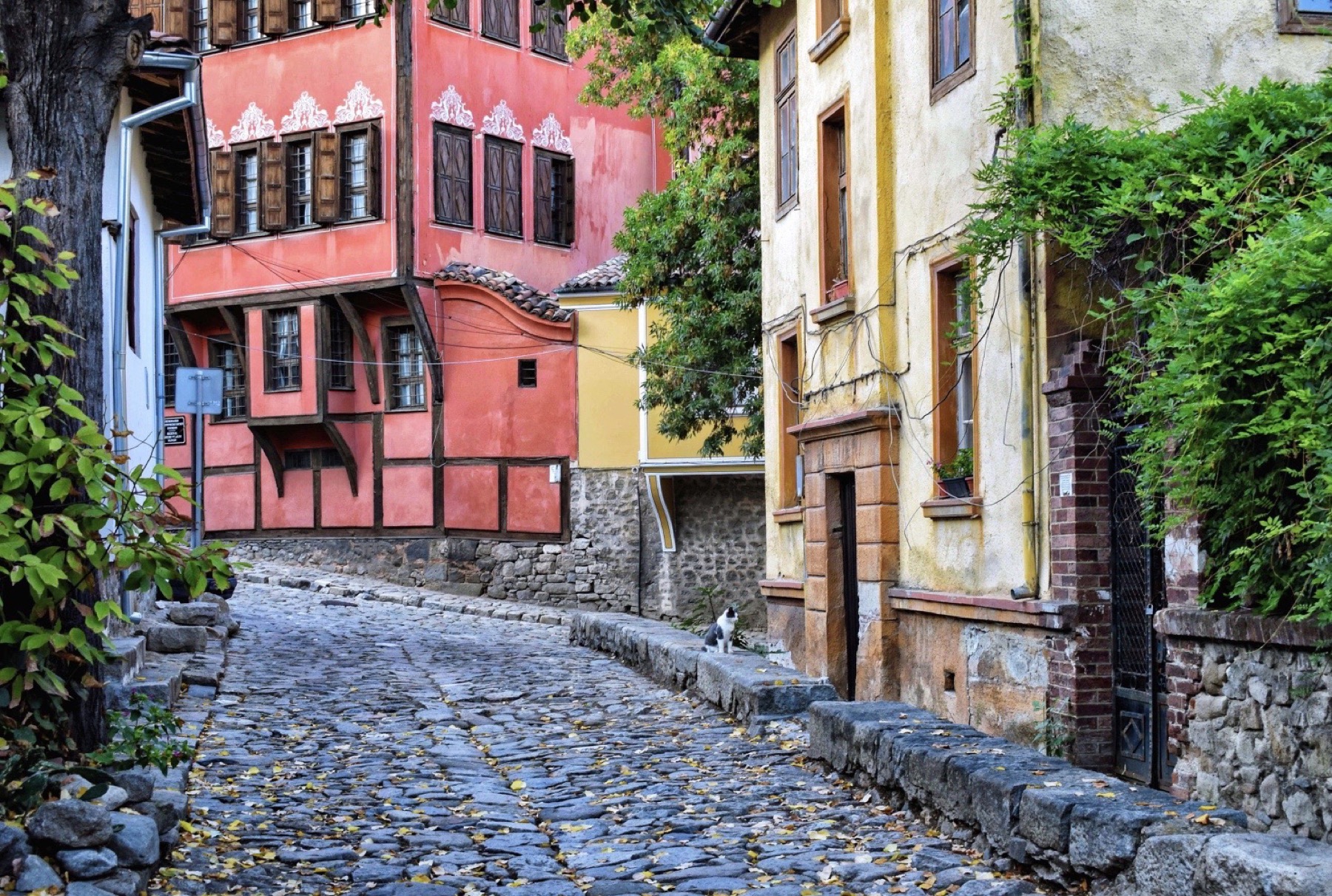 Clima en Bulgaria 2026: temperatura del mar mes a mes y cuándo ir 5 Casas del renacimiento búlgaro en el casco antiguo de Plovdiv