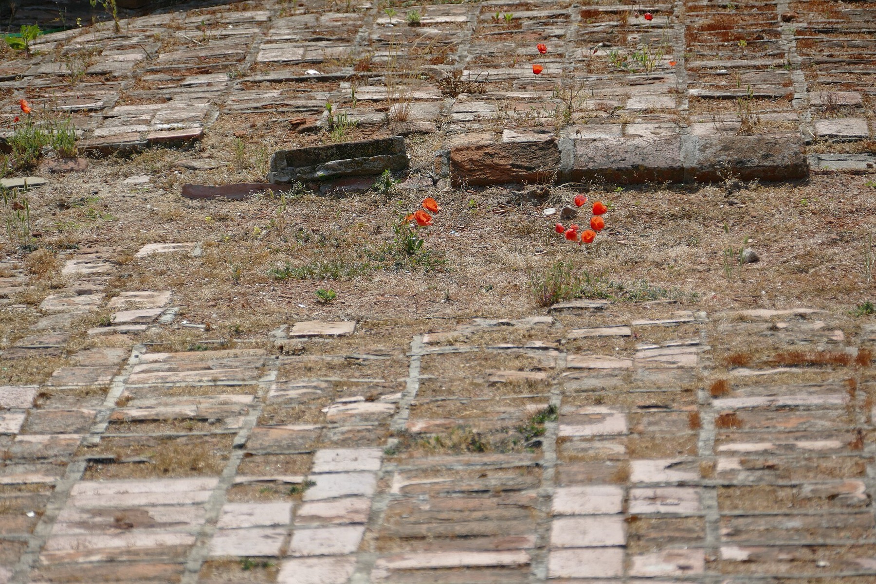 Nesebar, Bulharsko: 8 tipů, co vidět ve městě UNESCO + ceny a doprava 14 Bazilika Bohorodice Eleusy na severním břehu