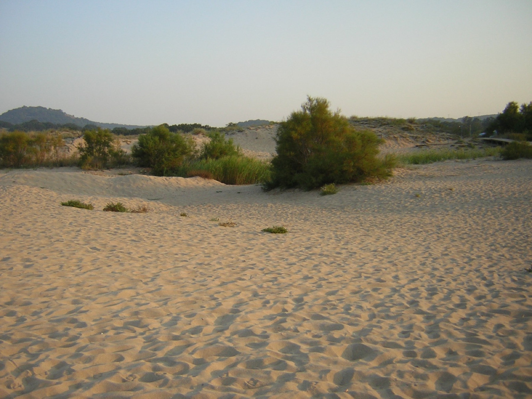 Praias da Bulgária: 20 destinos imperdíveis para visitar 8 Dunas de areia na praia de Arkutino