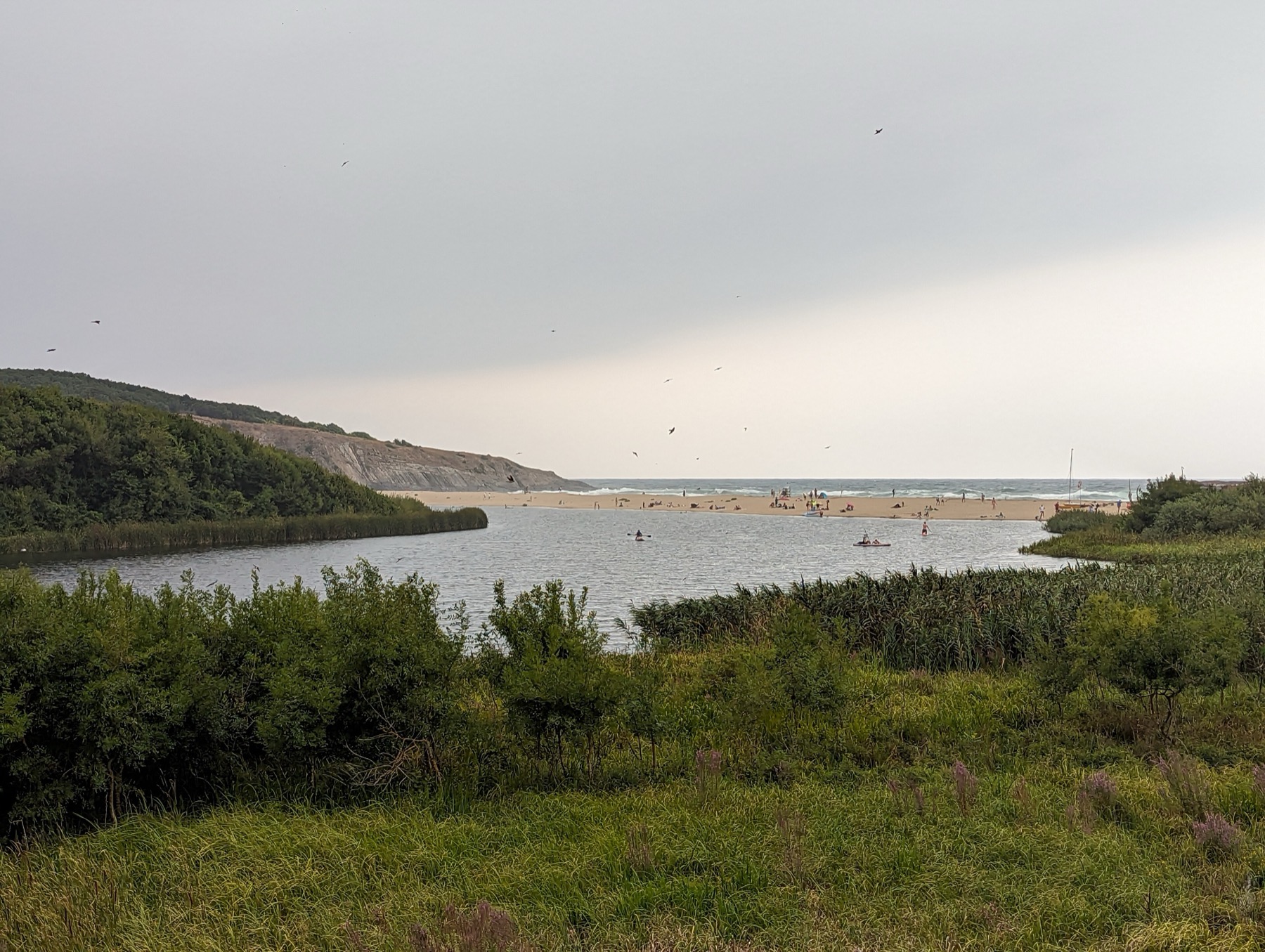 Primorsko e la costa sud della Bulgaria: 18 consigli su cosa vedere e dove fare il bagno 2026 3 Foce del fiume Veleka, dove le misurazioni hanno rilevato l'acqua più pulita dell'intero tratto