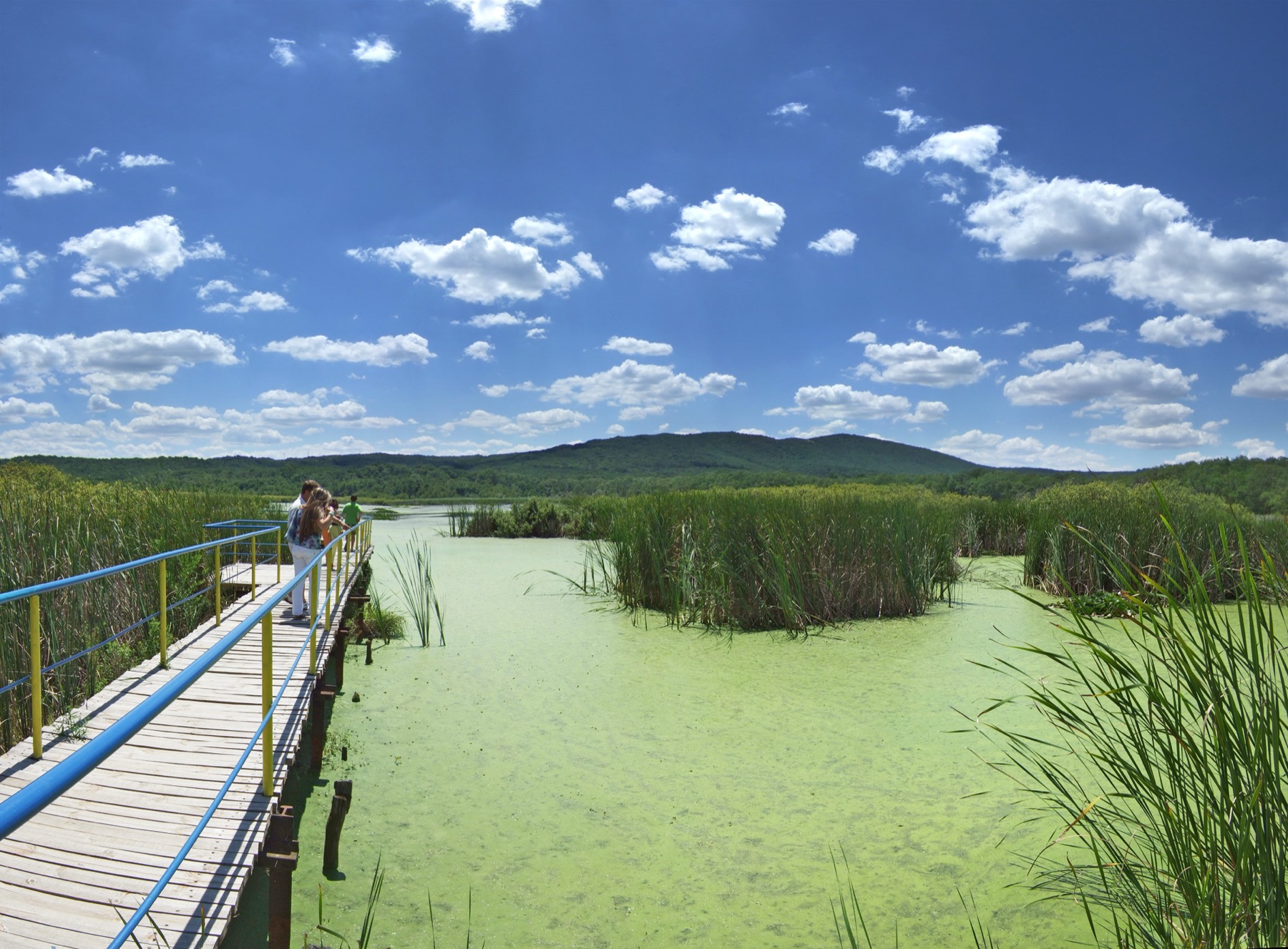 Primorsko e la costa sud della Bulgaria: 18 consigli su cosa vedere e dove fare il bagno 2026 11 Passerella in legno verso il lago Arkutino
