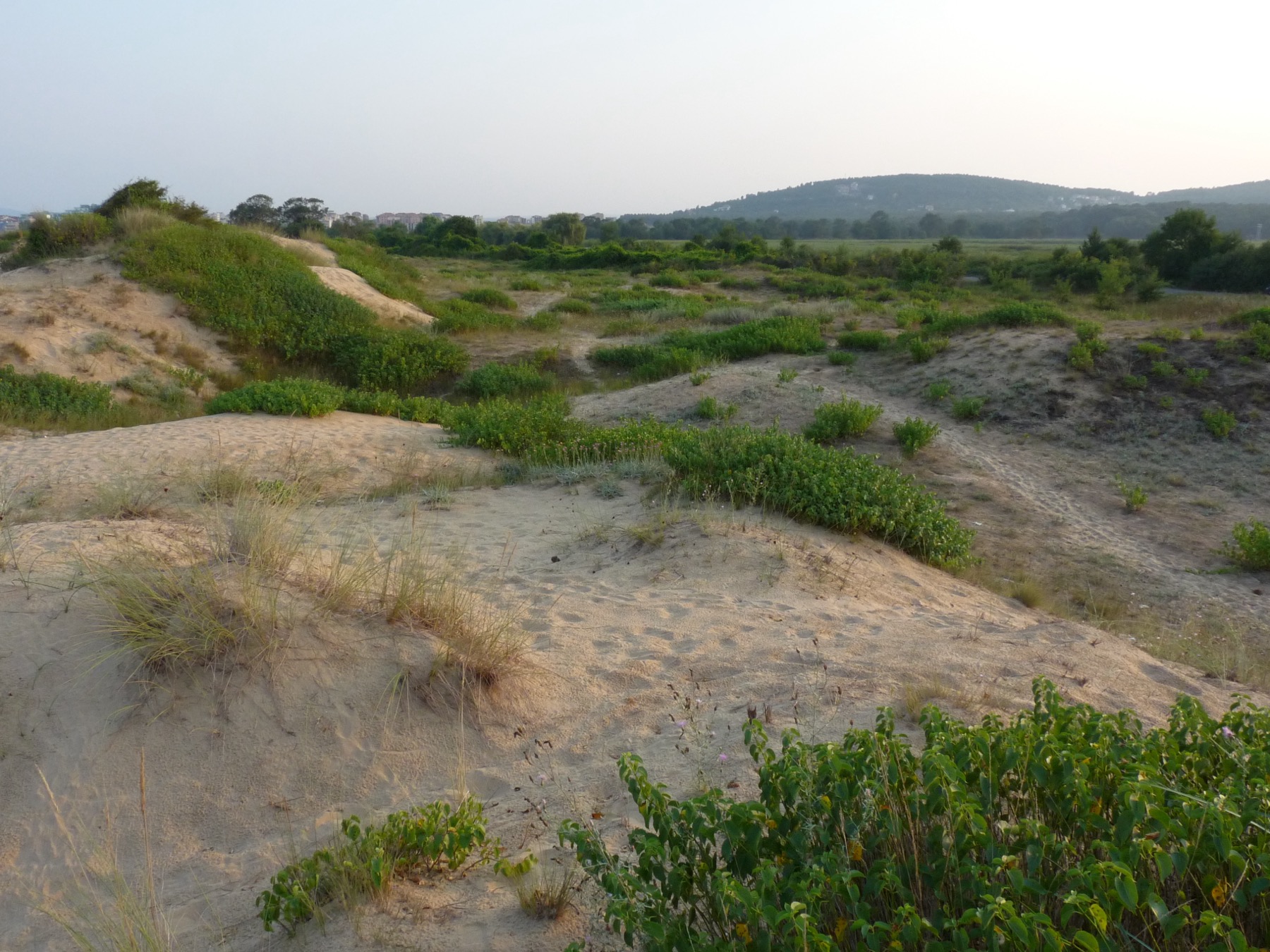 Primorsko e la costa sud della Bulgaria: 18 consigli su cosa vedere e dove fare il bagno 2026 14 Dune sabbiose presso la laguna di Stomoplo a nord di Primorsko