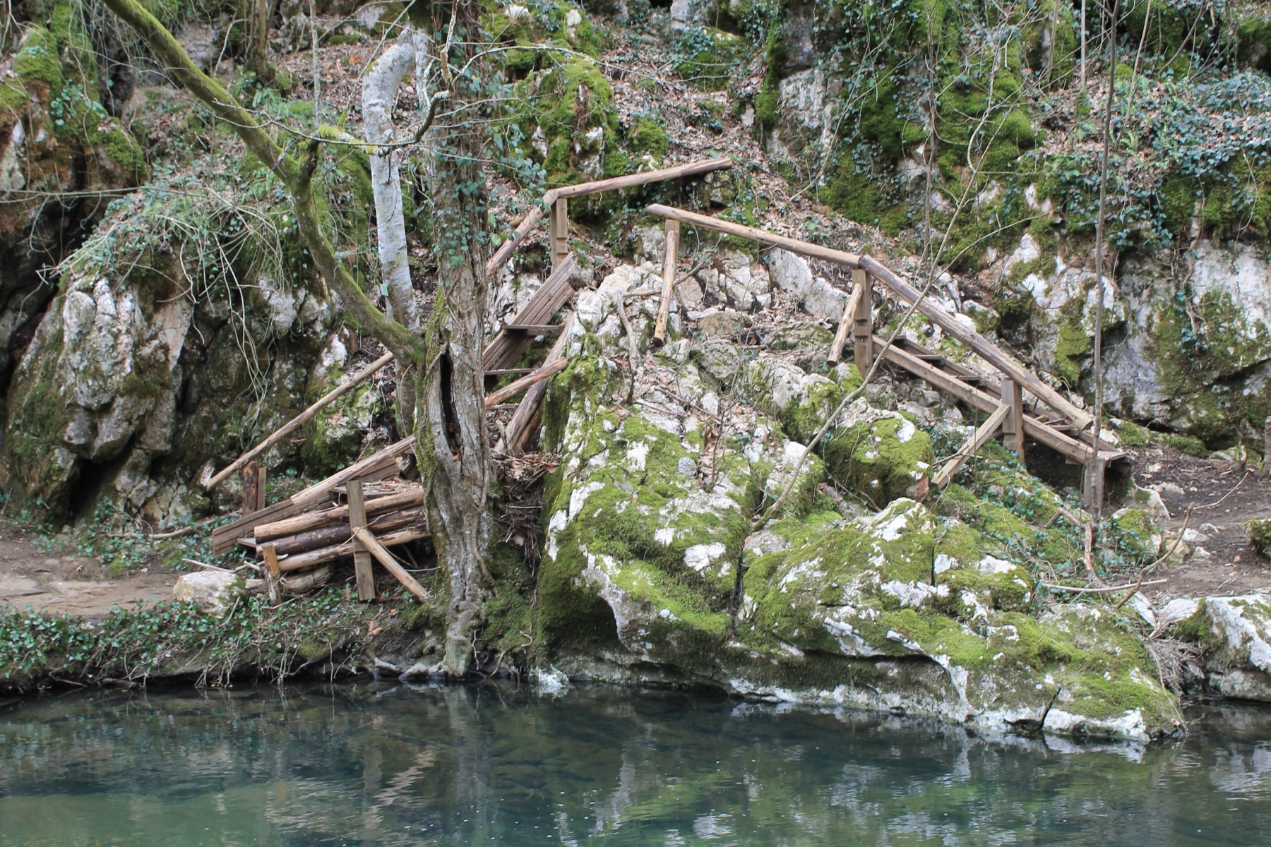 Primorsko e la costa sud della Bulgaria: 18 consigli su cosa vedere e dove fare il bagno 2026 25 Torrente nei boschi del parco naturale Strandža