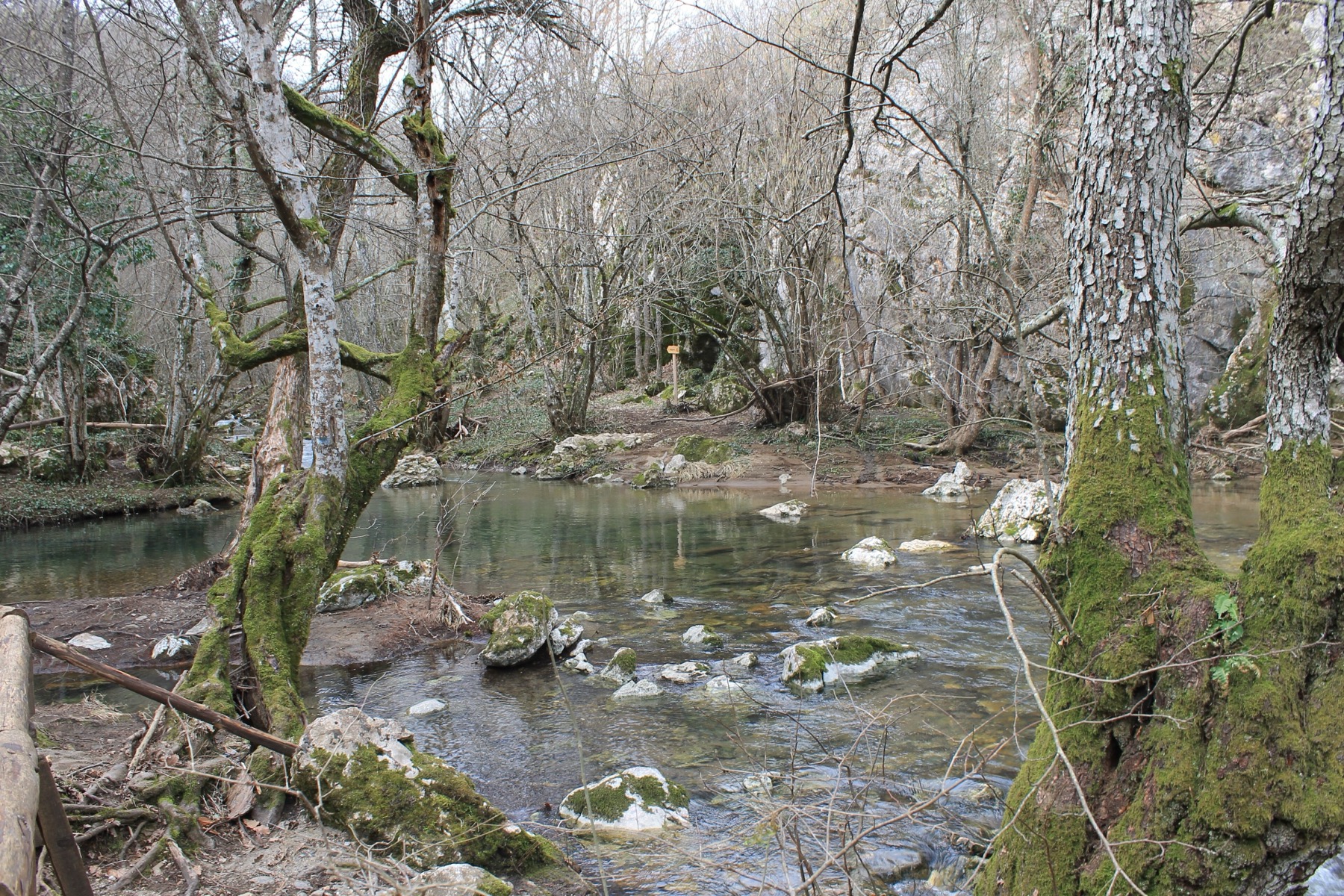 Primorsko e la costa sud della Bulgaria: 18 consigli su cosa vedere e dove fare il bagno 2026 28 Torrente nello Strandža lungo il sentiero verso la grotta