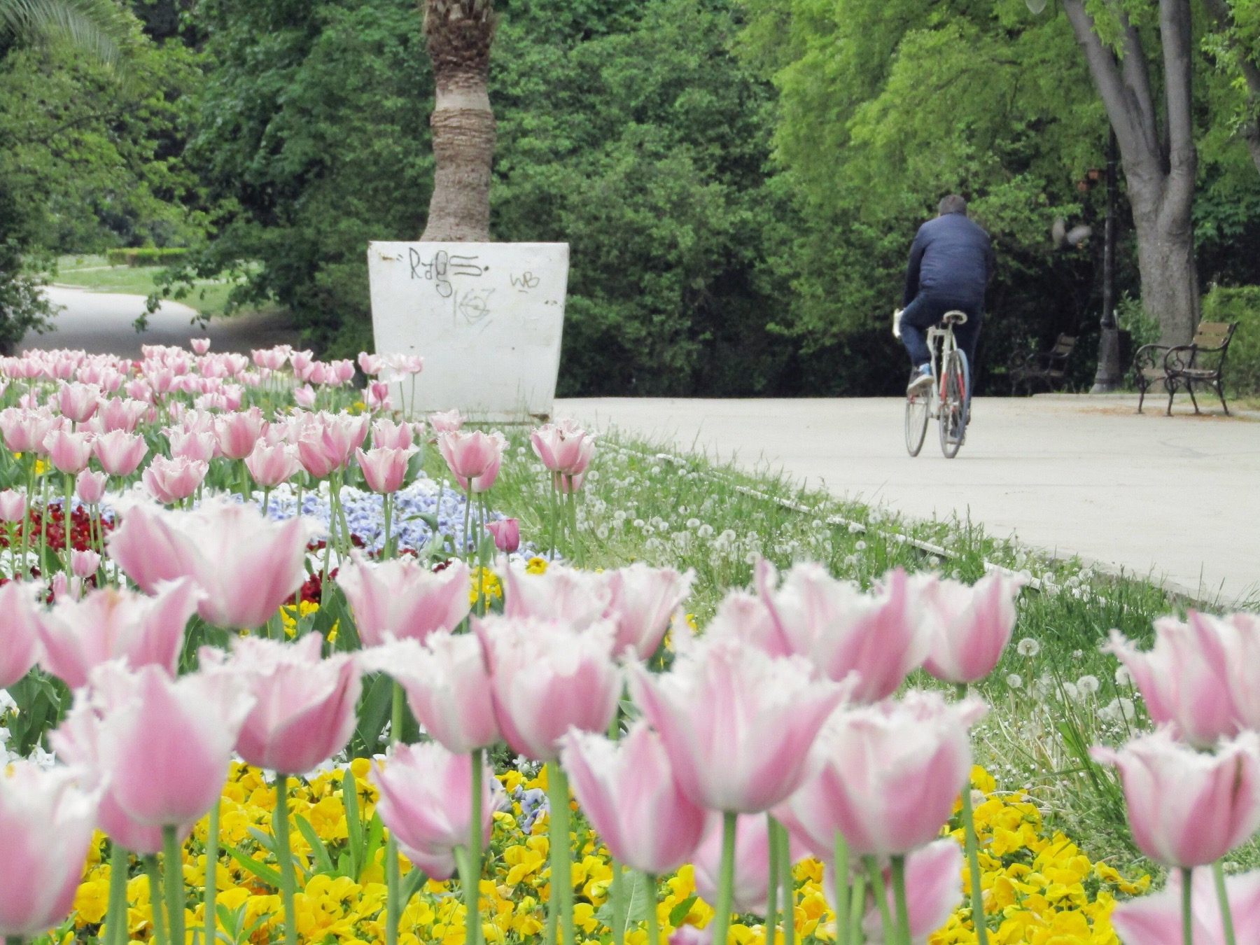 Varna, Bulgaria: 20 cosas que ver y hacer en la metrópoli del mar Negro 2026 13 Parterres de flores en el Jardín del Mar de Varna