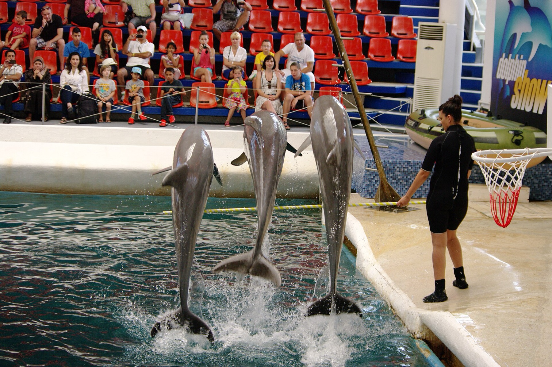 Golden Sands, Bulgaria in 2026: 15 Tips on What to See, Beaches and Costs 14 The dolphinarium in Varna