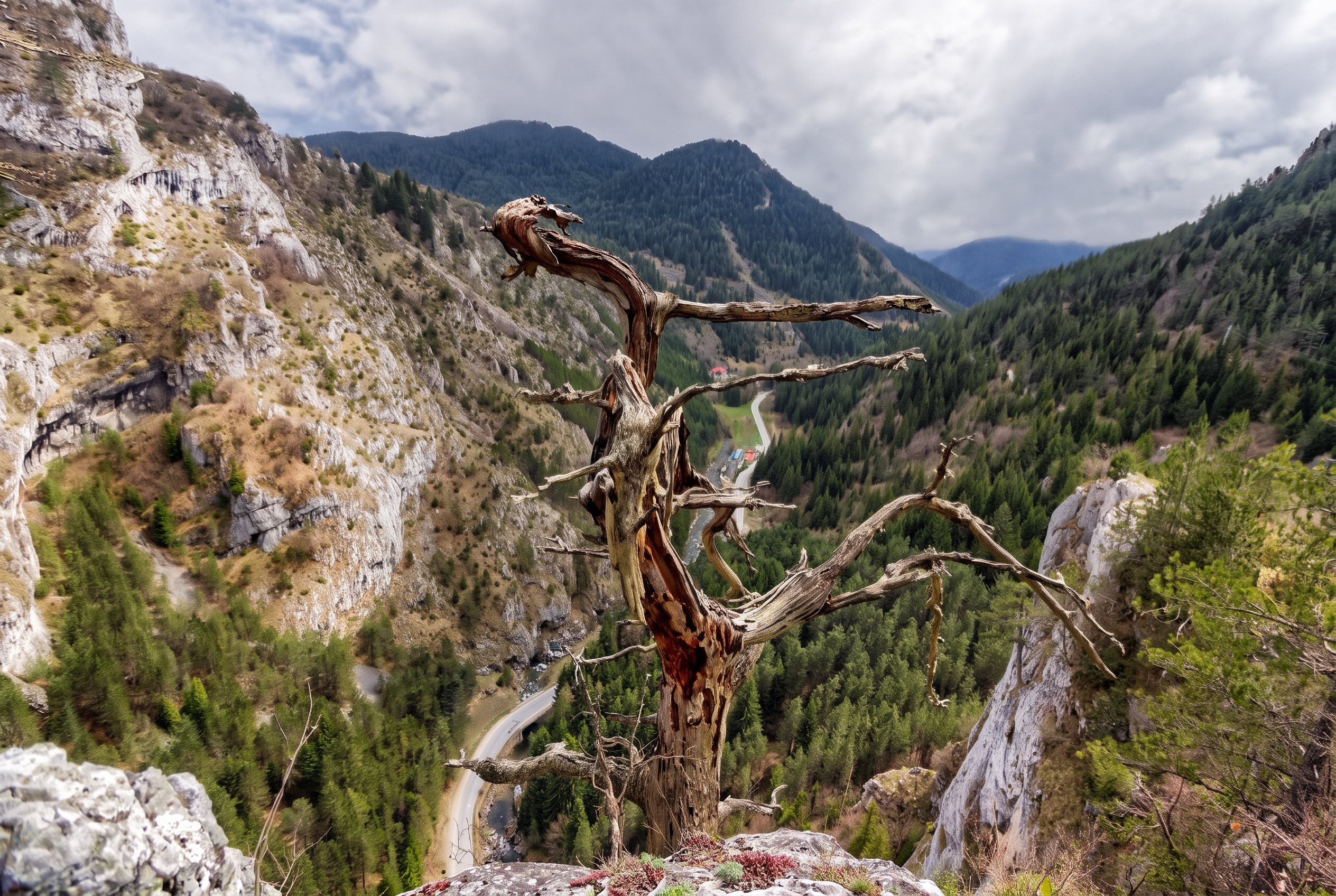 Holiday in Bulgaria 2026: 30 Most Beautiful Places + Practical Tips 31 Rock walls of the Trigrad Gorge in the Rhodopes