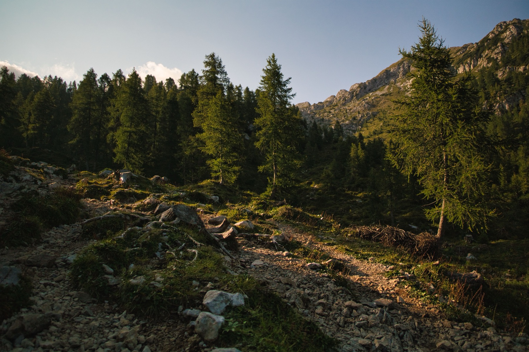 Ještěd, Czech Republic: How to Get There, Prices & 12 Tips 2026 5 Forest path climbing to the summit
