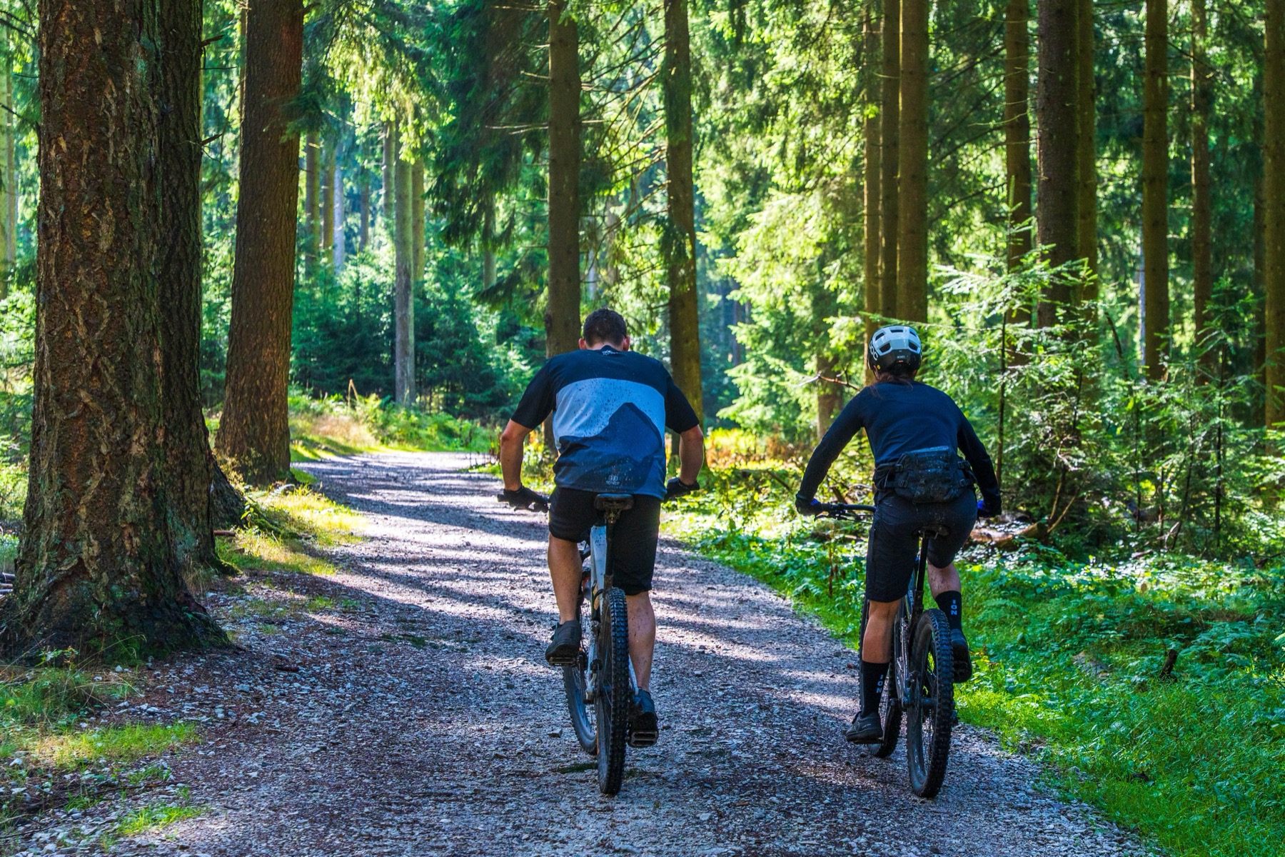 Ještěd, Czech Republic: How to Get There, Prices & 12 Tips 2026 18 Cyclist on a forest flow trail