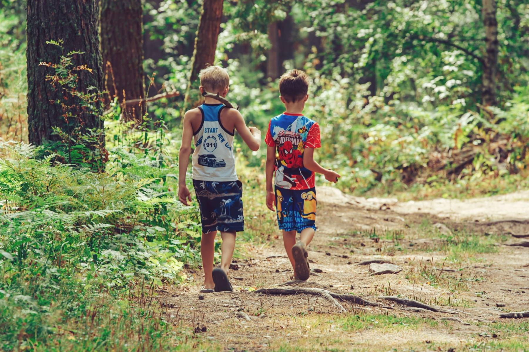 Ještěd, Czech Republic: How to Get There, Prices & 12 Tips 2026 21 Children on a forest nature trail