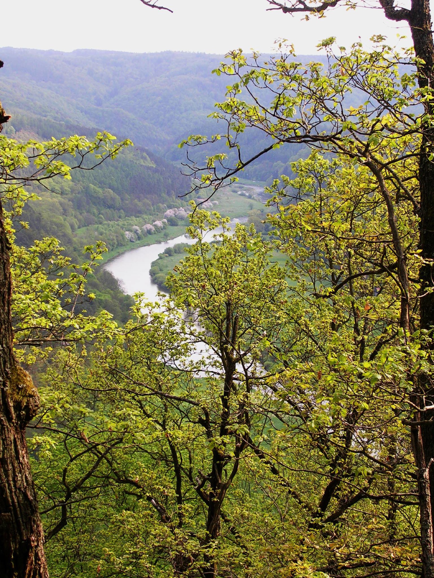 Křivoklát: prohlídky, vstupné a 12 věcí, které vědět 18 Meandr Berounky z rezervace Brdatka
