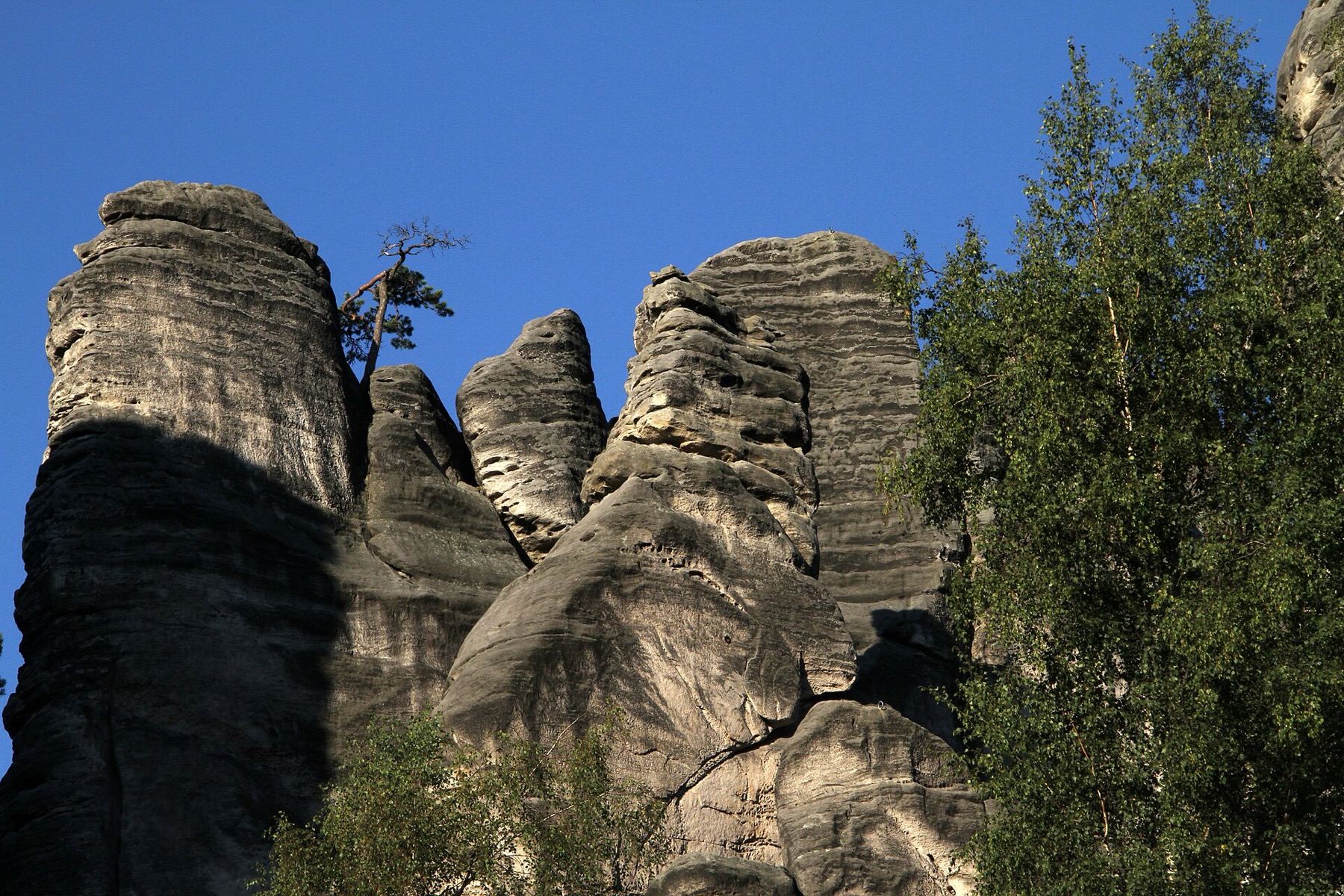 Rocas de Prachov: circuitos, entradas y 12 consejos 2026 1 Torres rocosas de las Rocas de Prachov