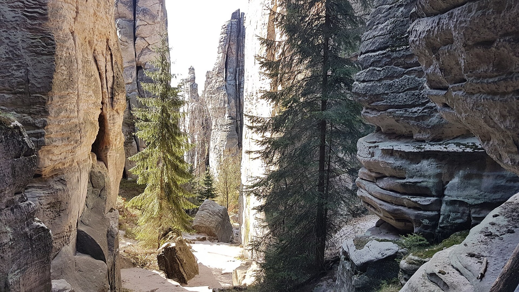 Rocas de Prachov: circuitos, entradas y 12 consejos 2026 9 El Pasadizo Imperial en las Rocas de Prachov