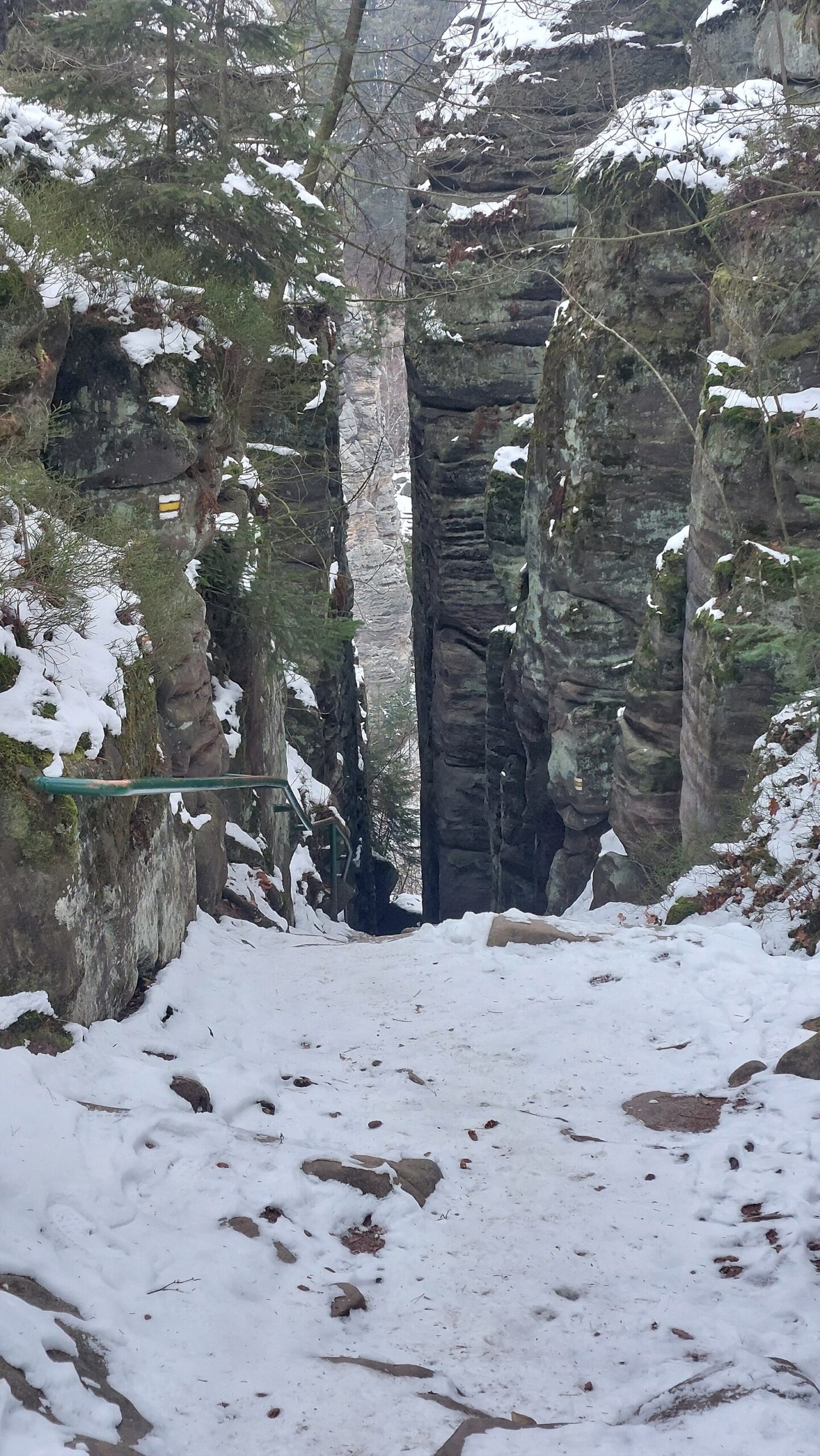 Rocas de Prachov: circuitos, entradas y 12 consejos 2026 11 Mirador del Paraíso Bohemio