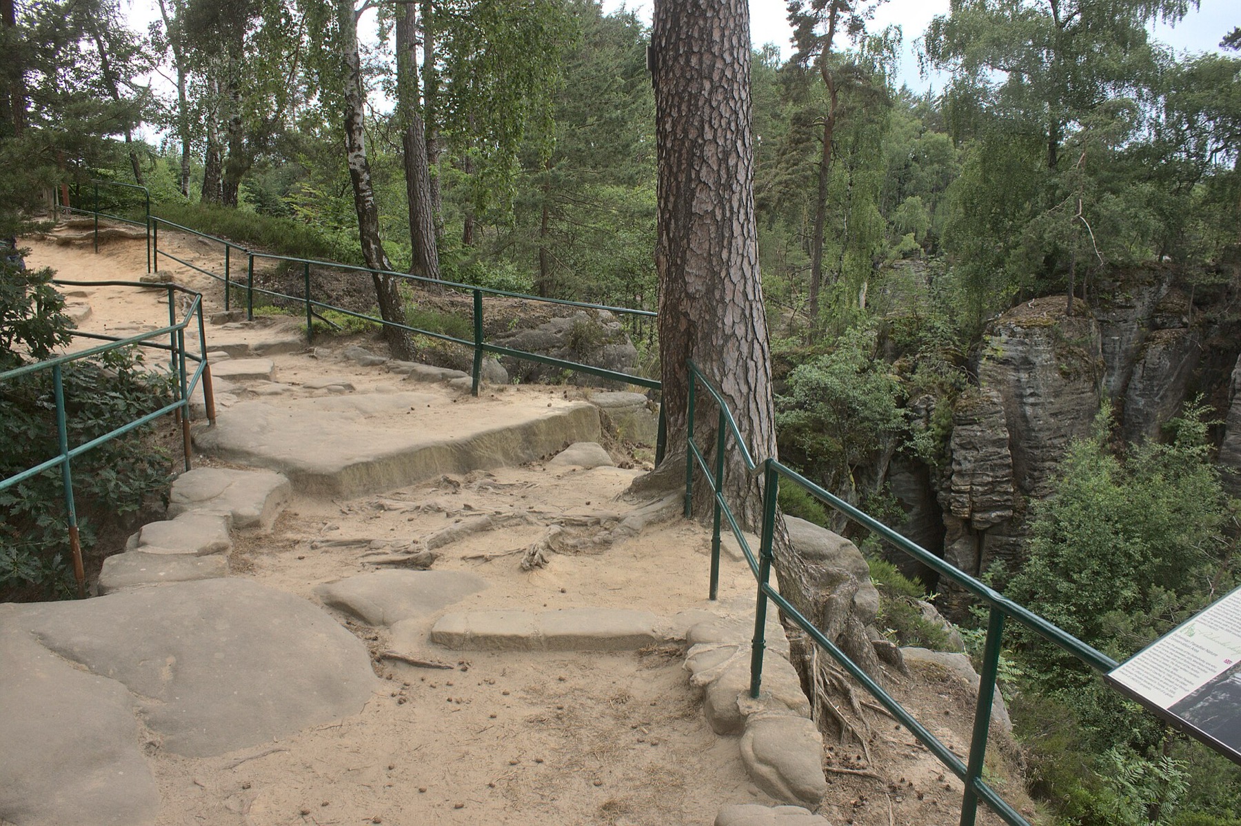 Rocas de Prachov: circuitos, entradas y 12 consejos 2026 13 Camino hacia el mirador de Pech