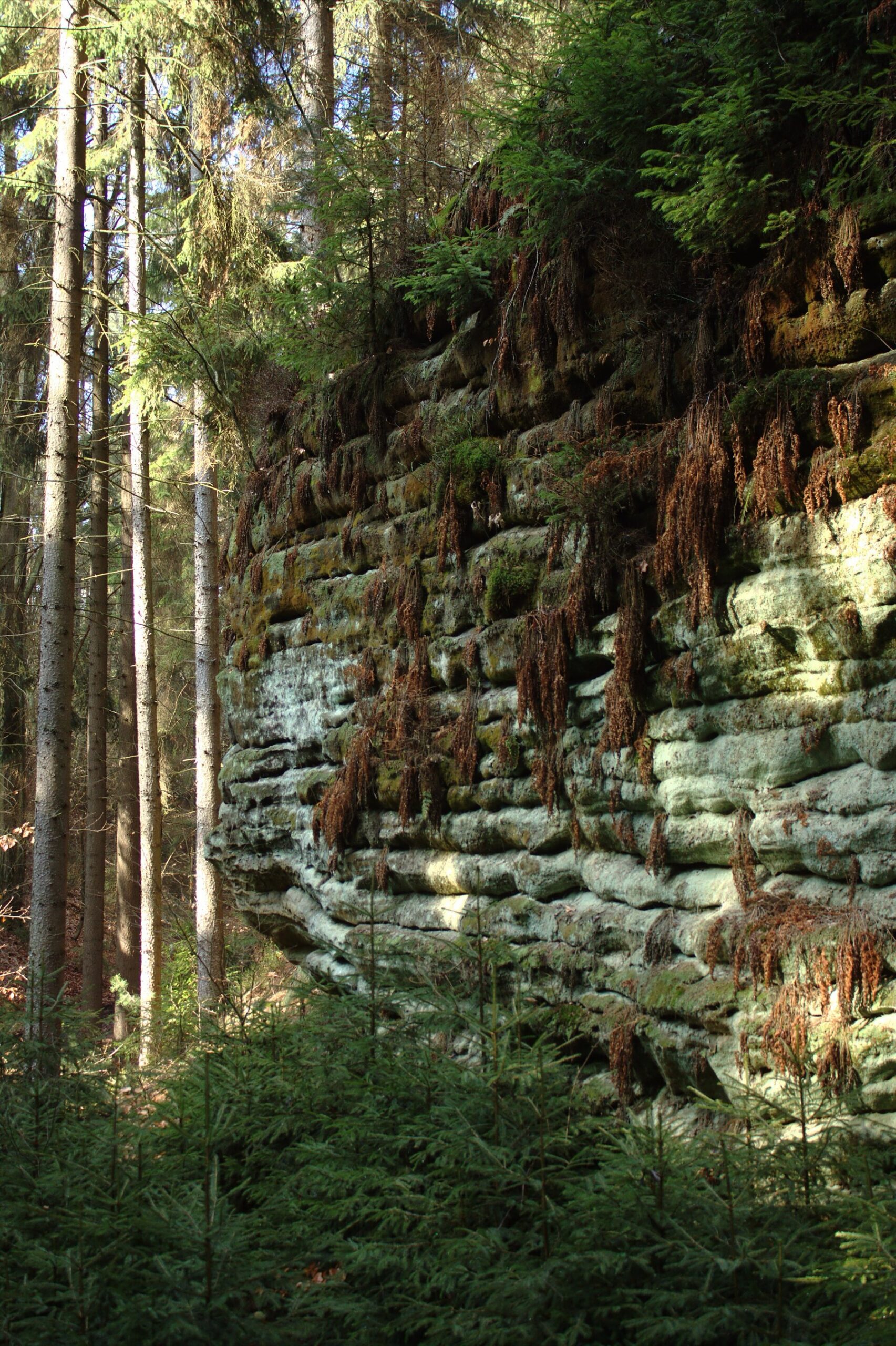 Rocas de Prachov: circuitos, entradas y 12 consejos 2026 15 Torre rocosa en las Rocas de Prachov